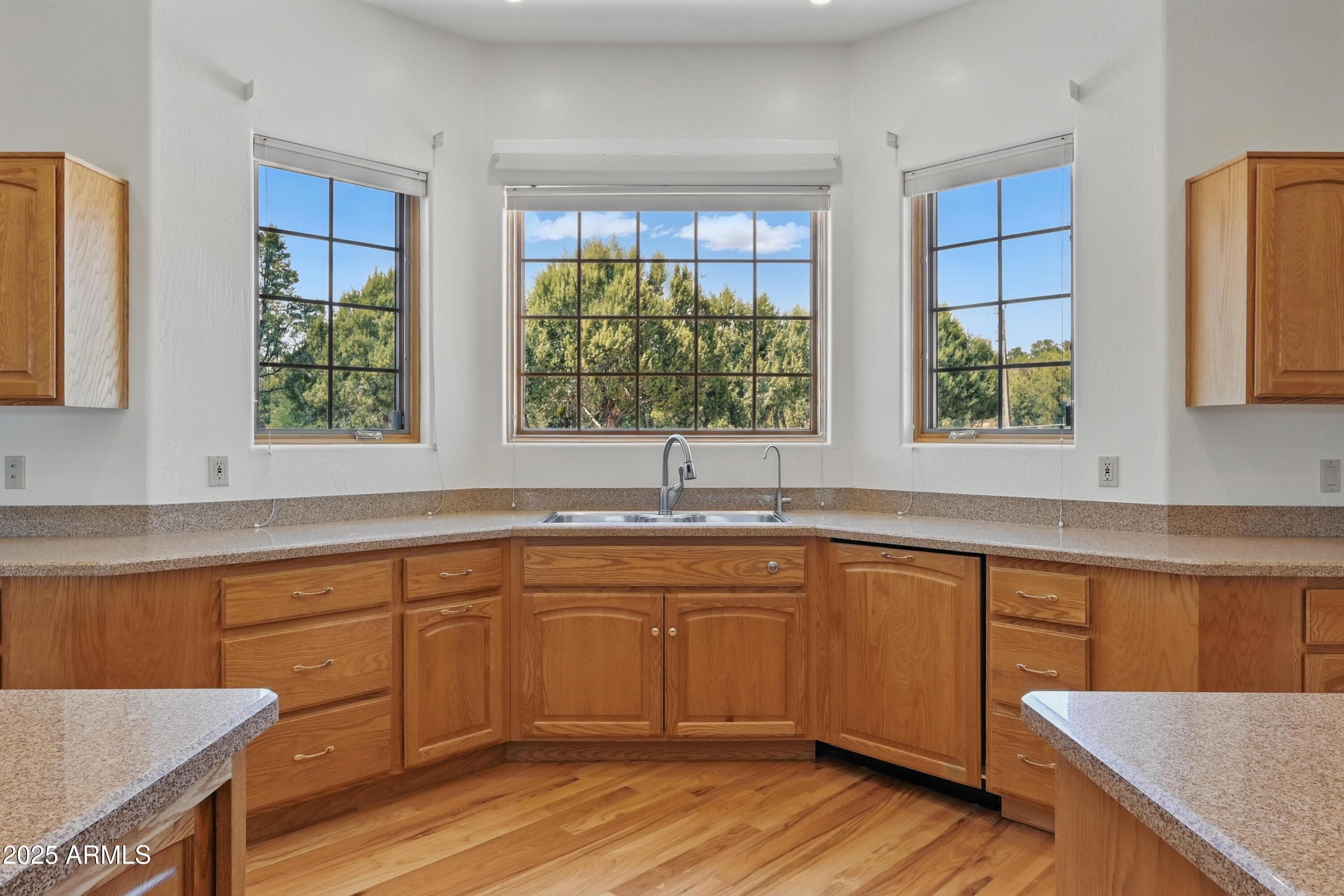889 E Dealers Choice Ln — photo 1