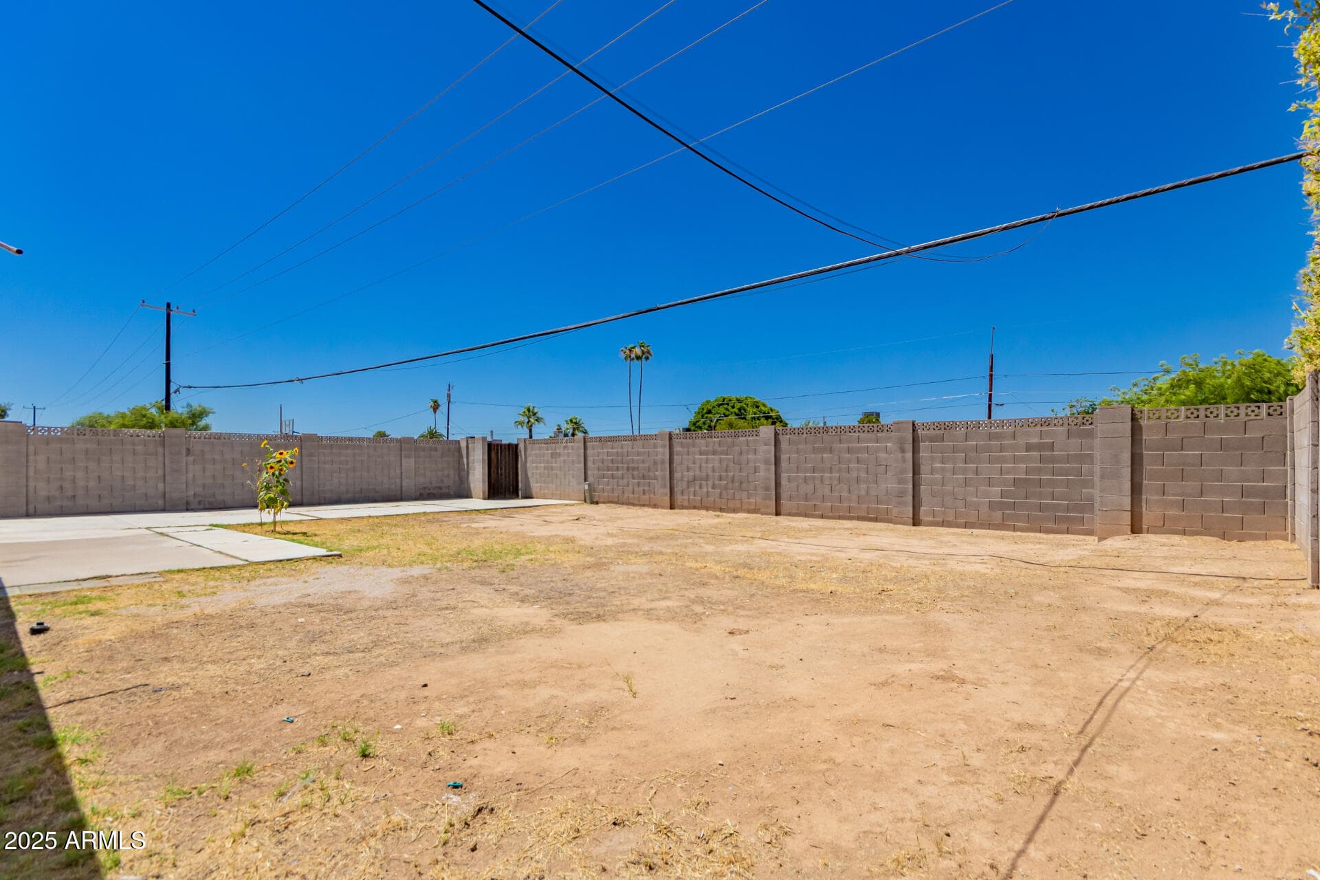 2112 W Dahlia Dr — photo 25