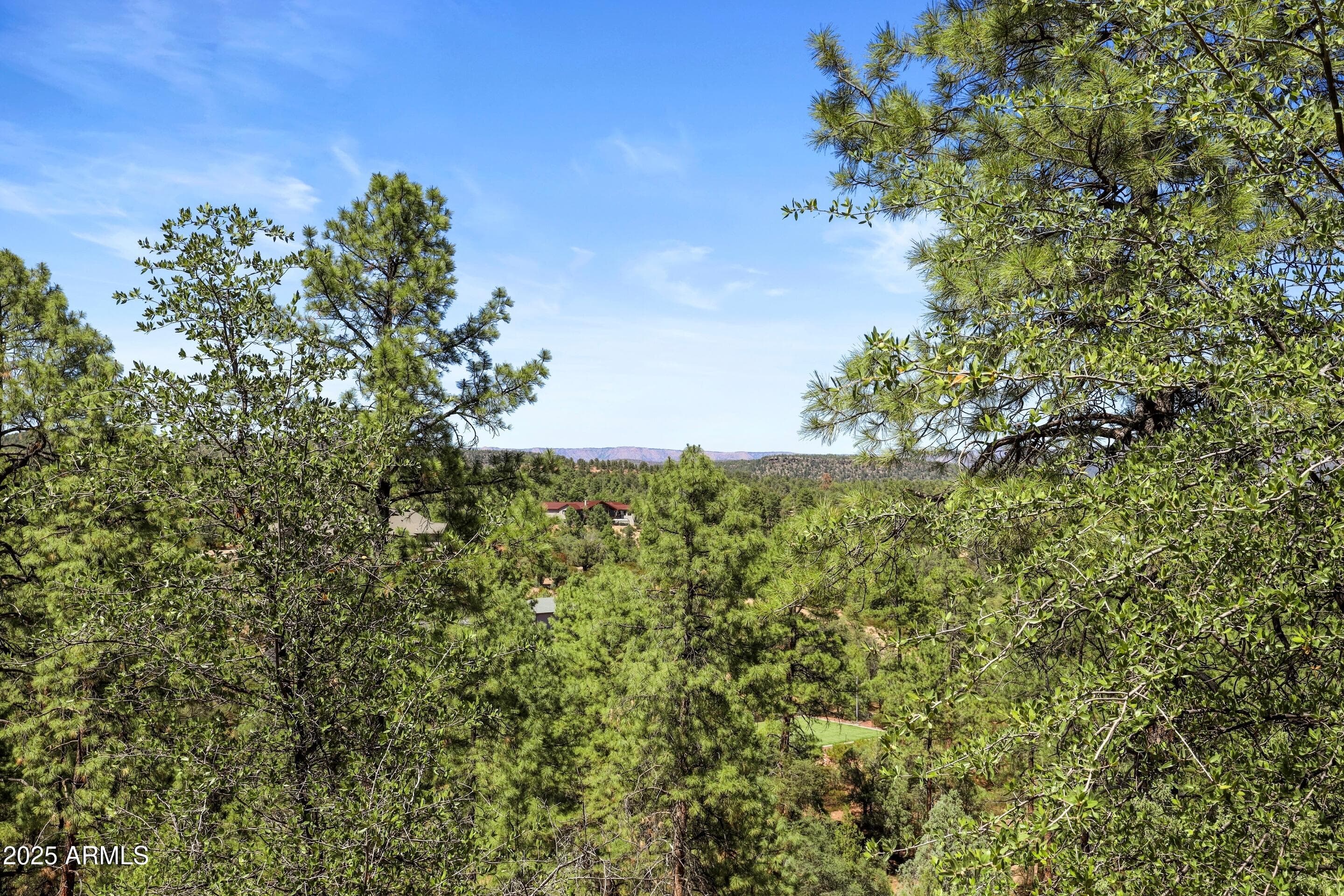 2912 E Chuparosa Circle — photo 46