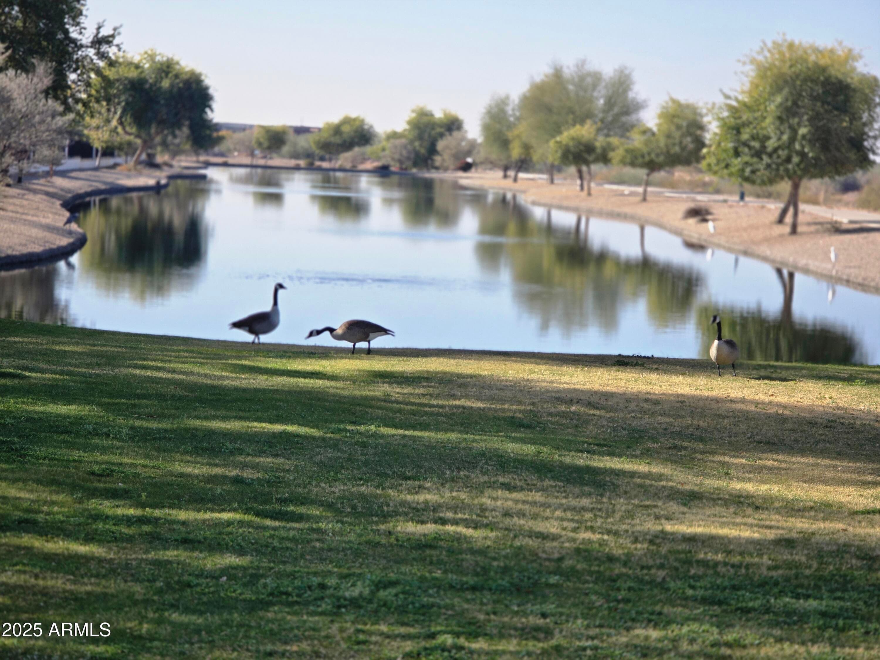 7576 W Quail Ave — photo 2