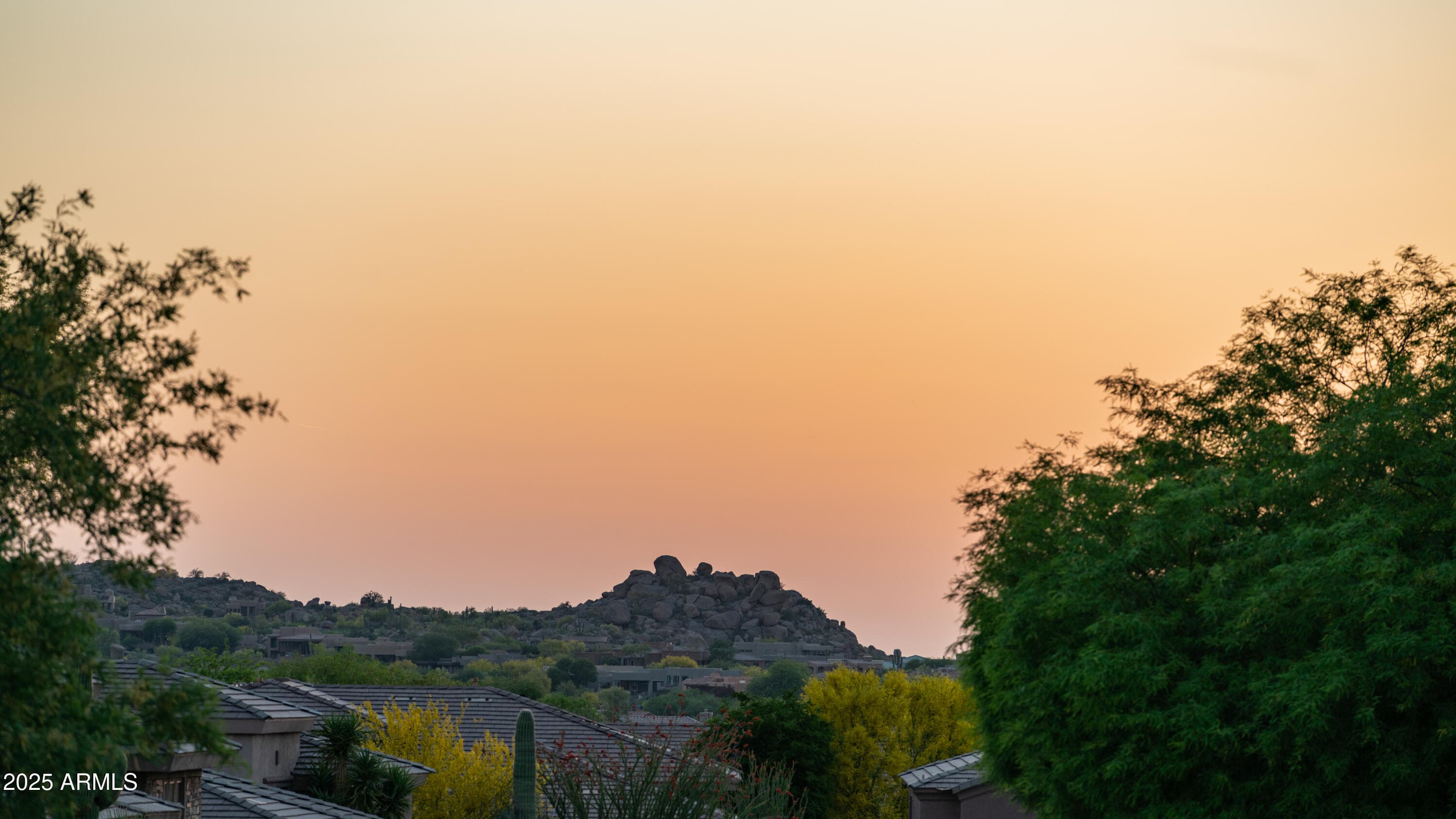 11572 E Running Deer Trail — photo 62