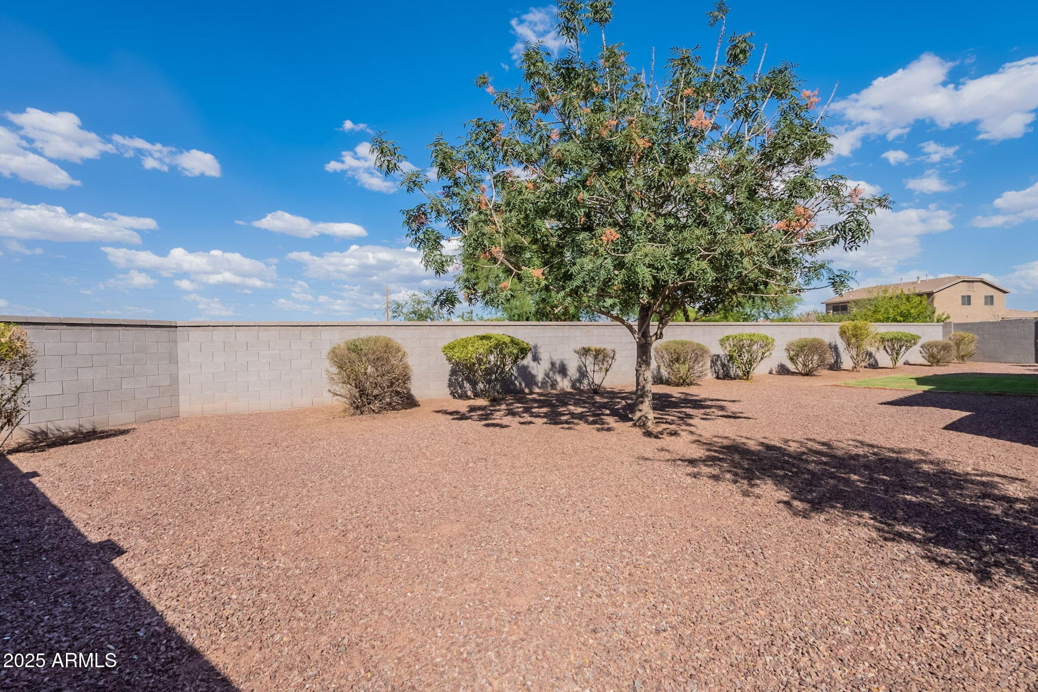 42247 N Tulip Tree St — photo 46