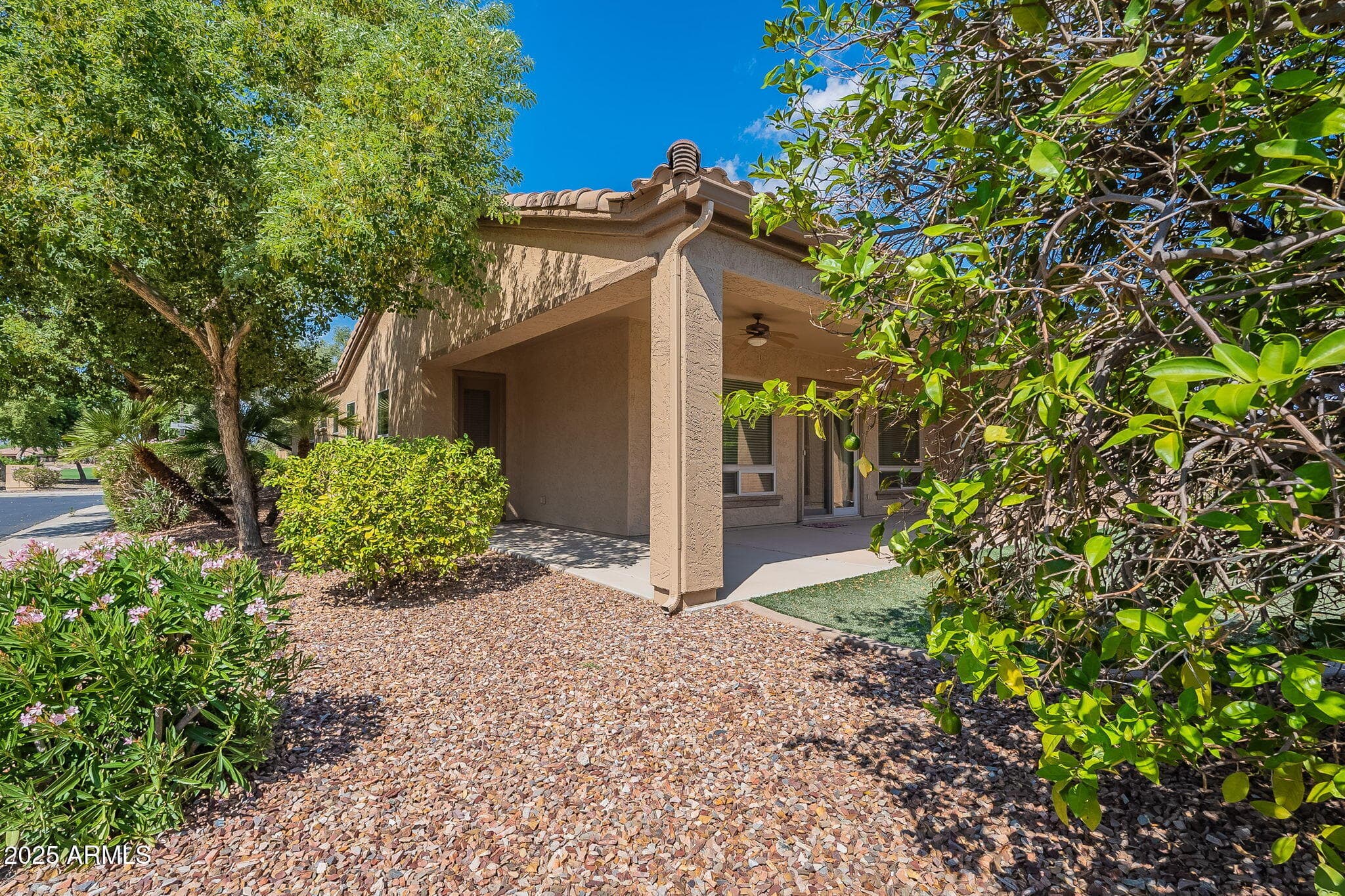 12629 W BAJADA RD - Photo 4