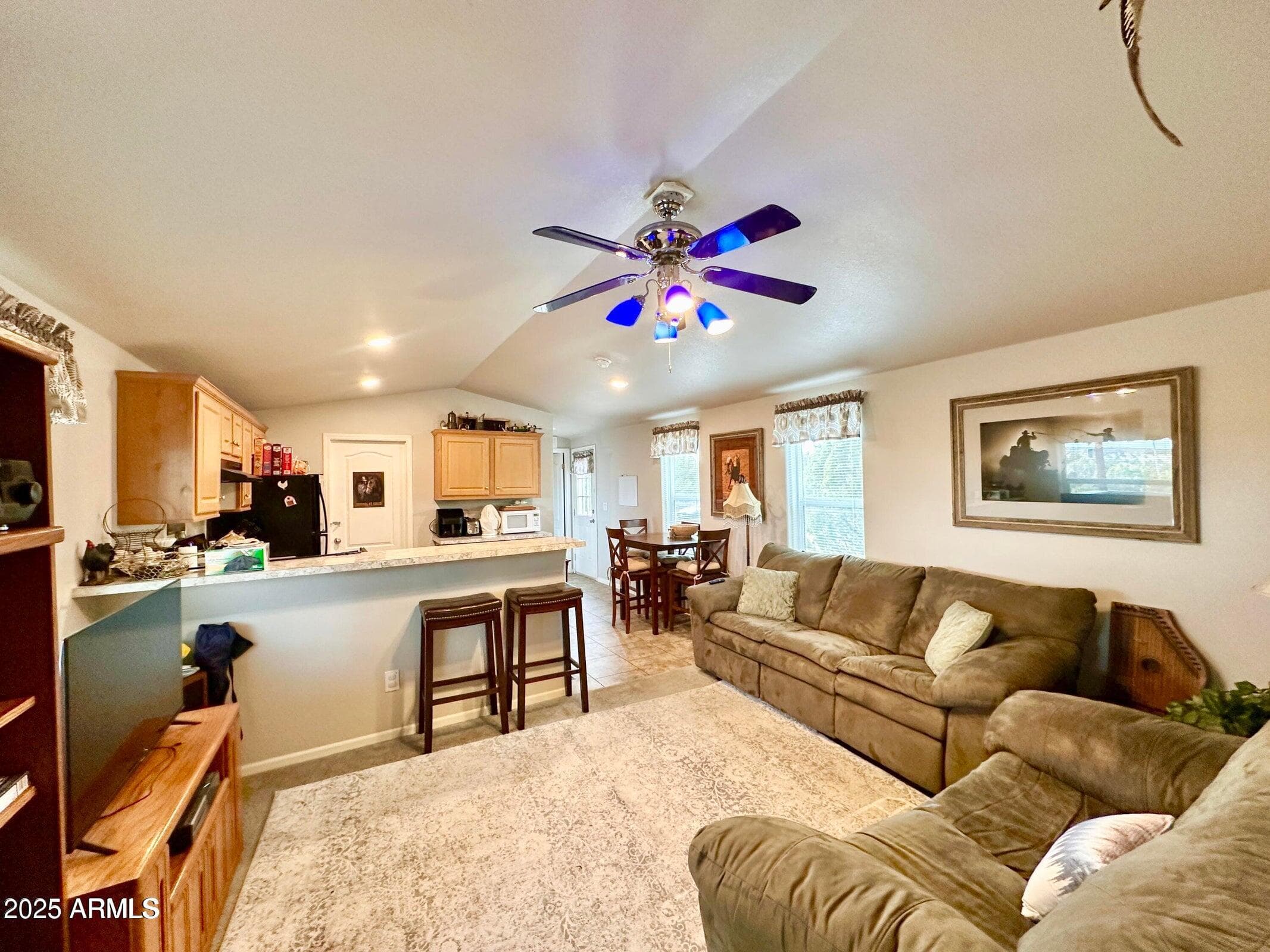 8102 WHITE MOUNTAIN LAKE RD - Photo 4