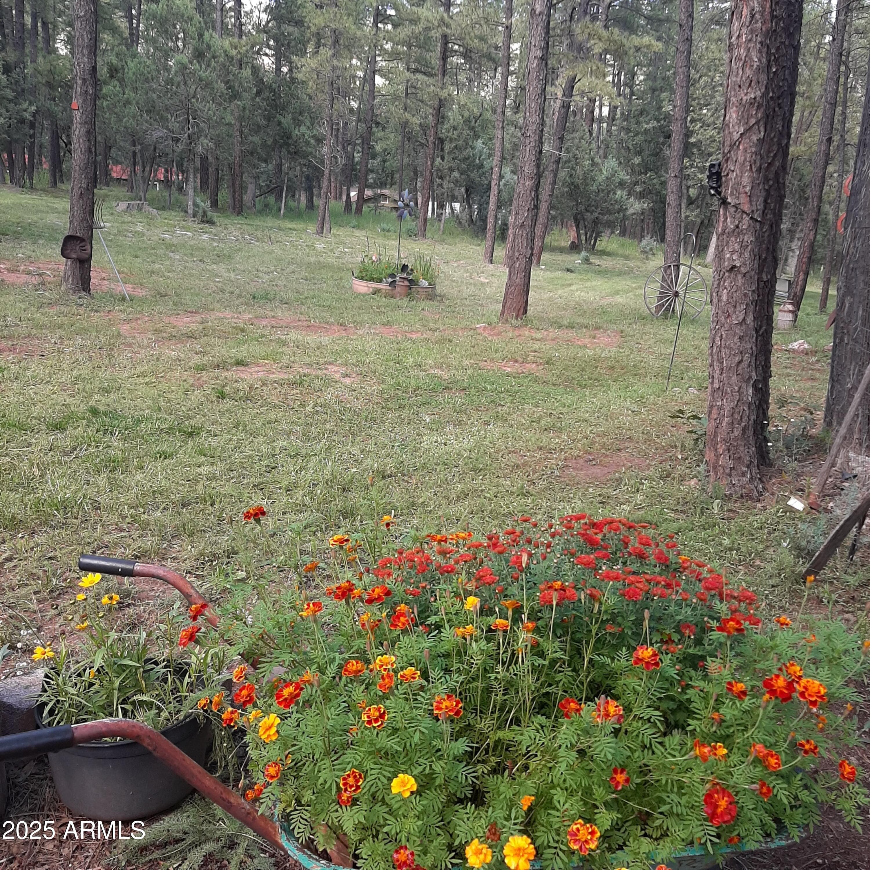 1103 E Ranch Rd — photo 79