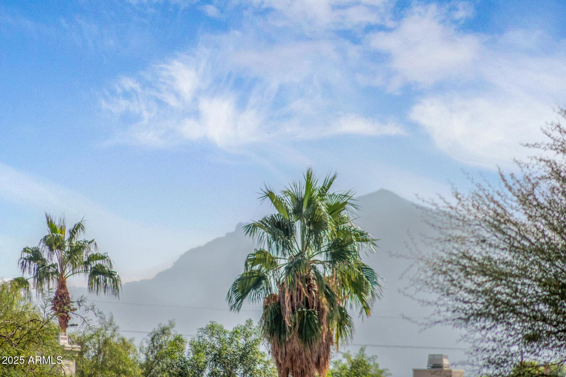 13681 W Holly St — photo 39