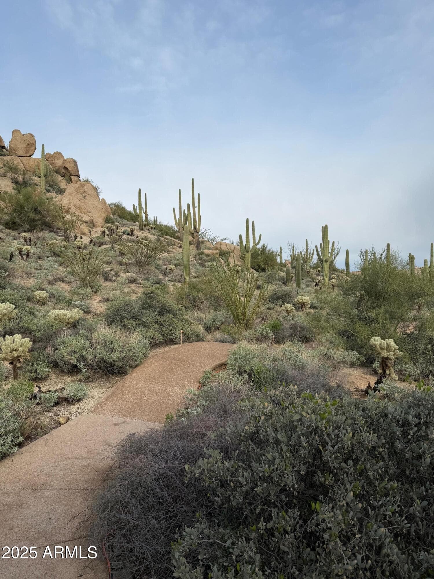 11140 E White Feather Ln — photo 70