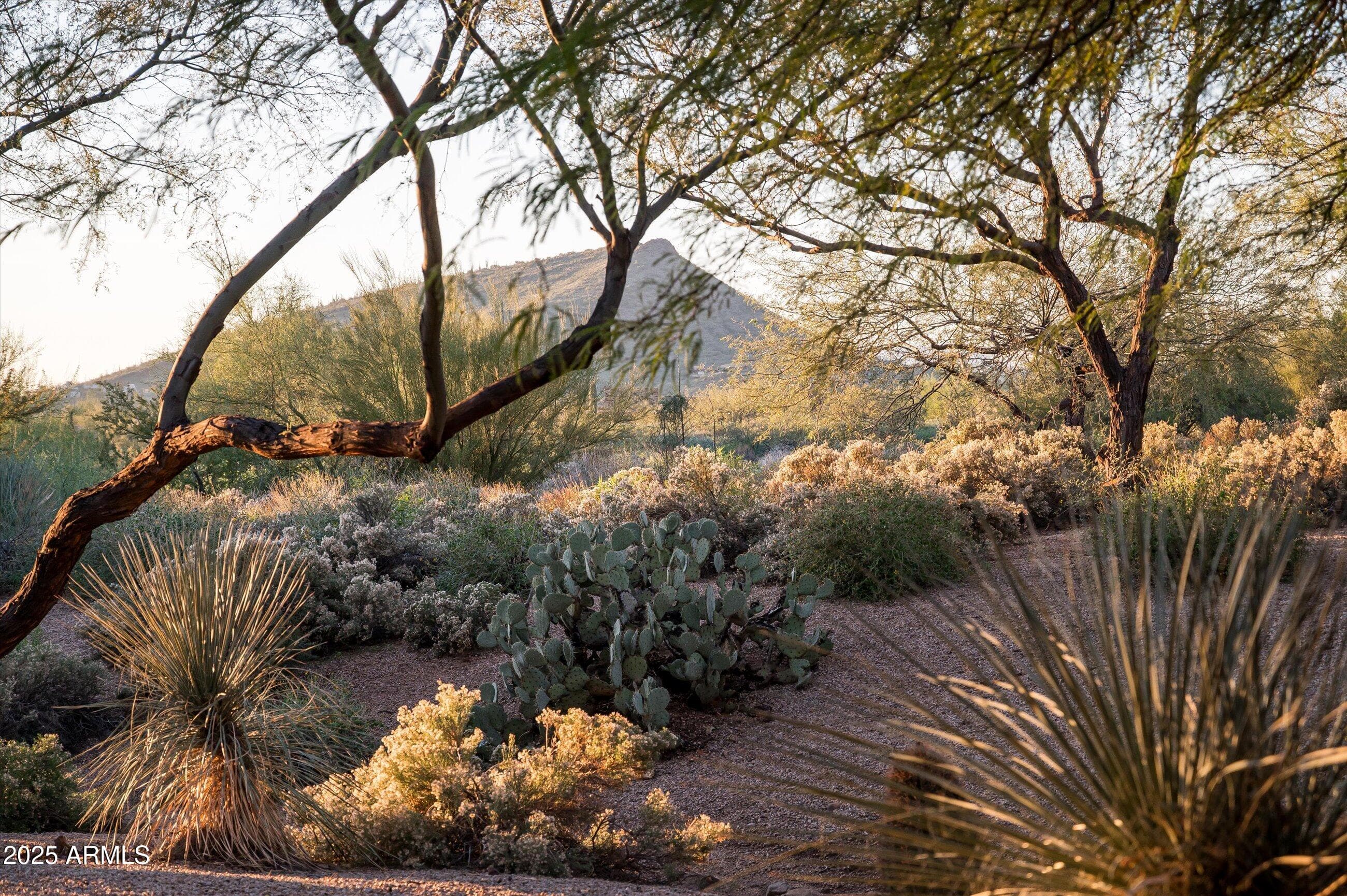 38720 N 104th St — photo 2