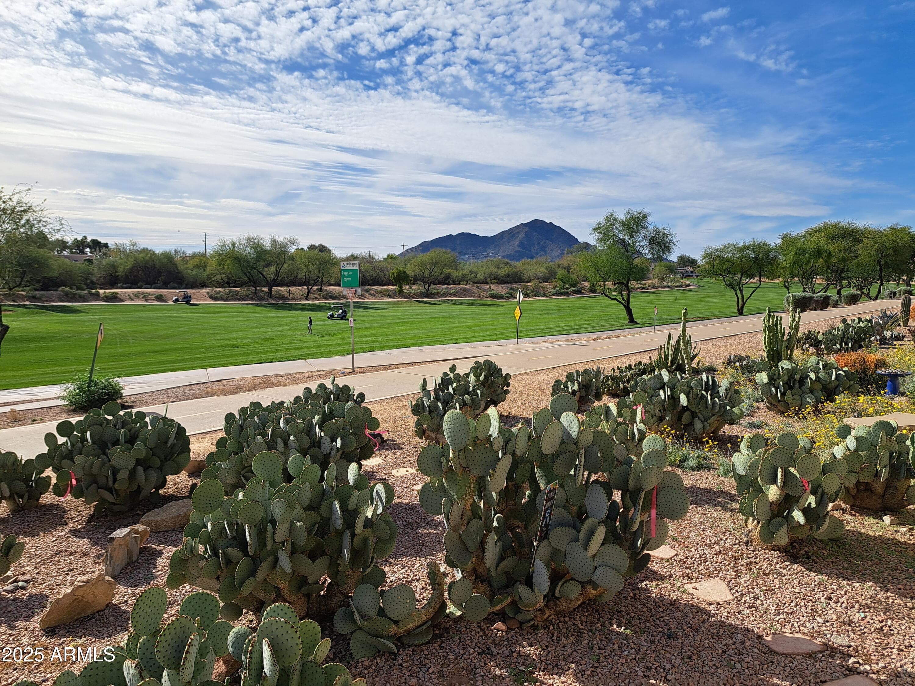 7949 E Joshua Tree Ln — photo 2