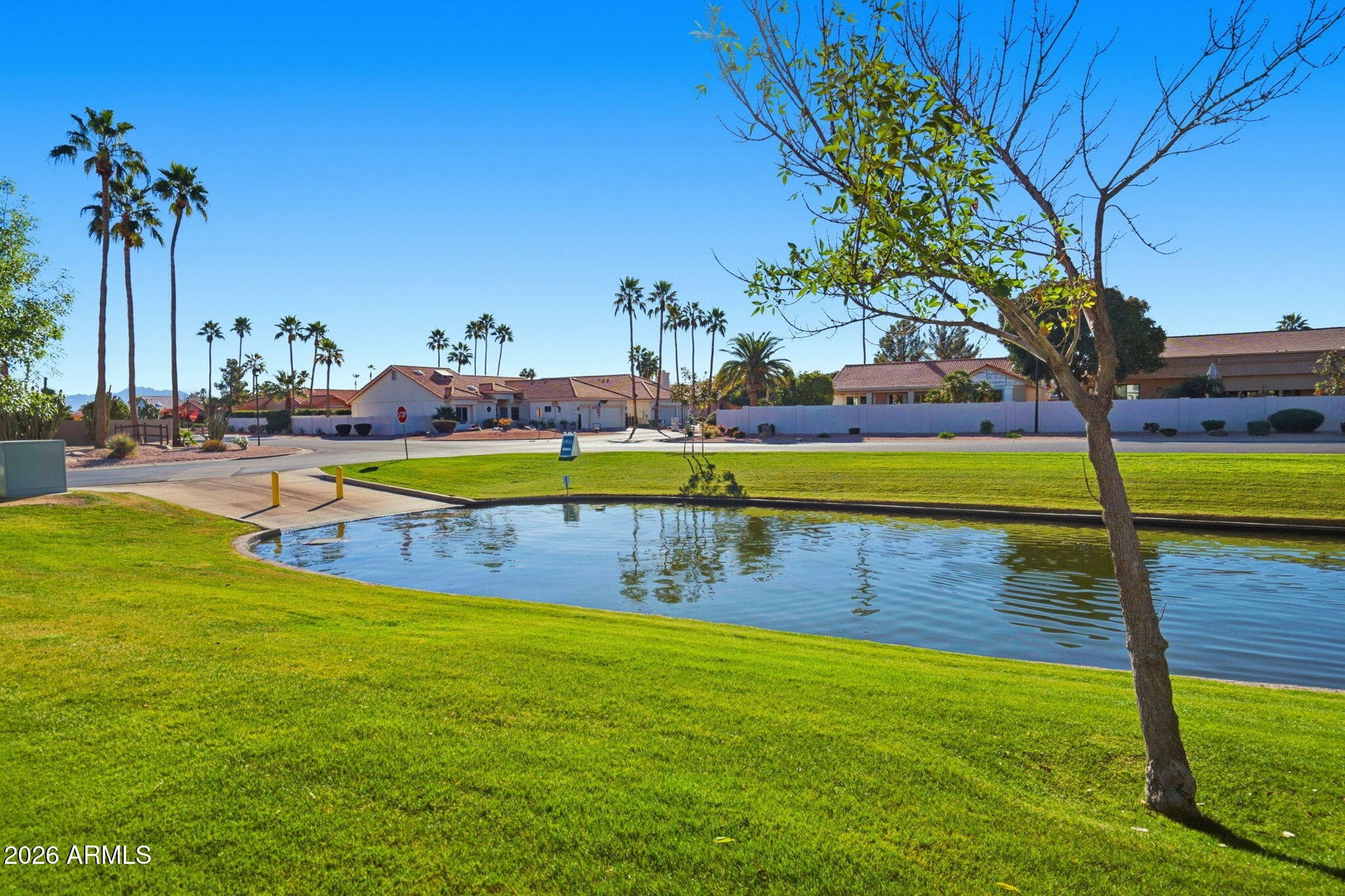10429 E Cedar Waxwing Ct — photo 74