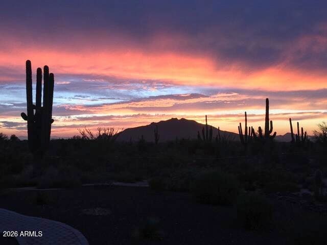 362__ Sweet Carol Ln — photo 51