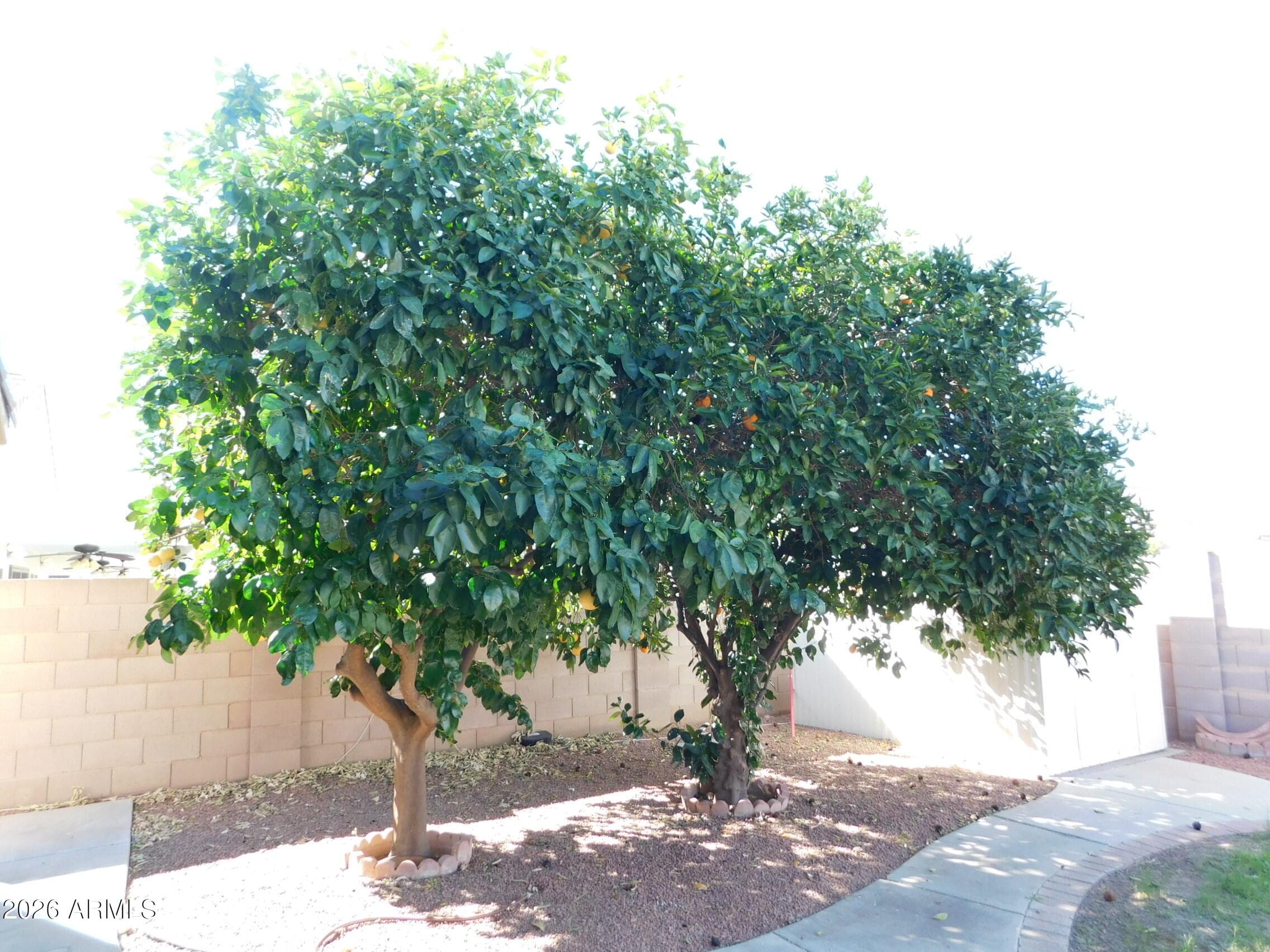 10458 E El Moro Ave — photo 16