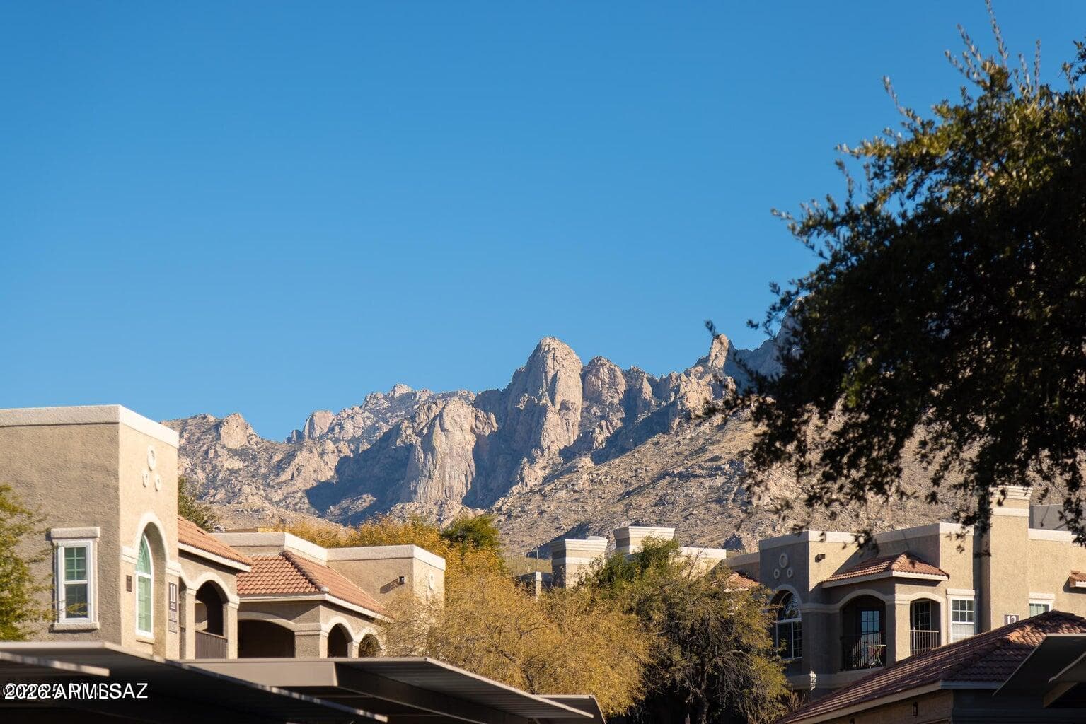 1500 E Pusch Wilderness Dr 2102 — photo 2
