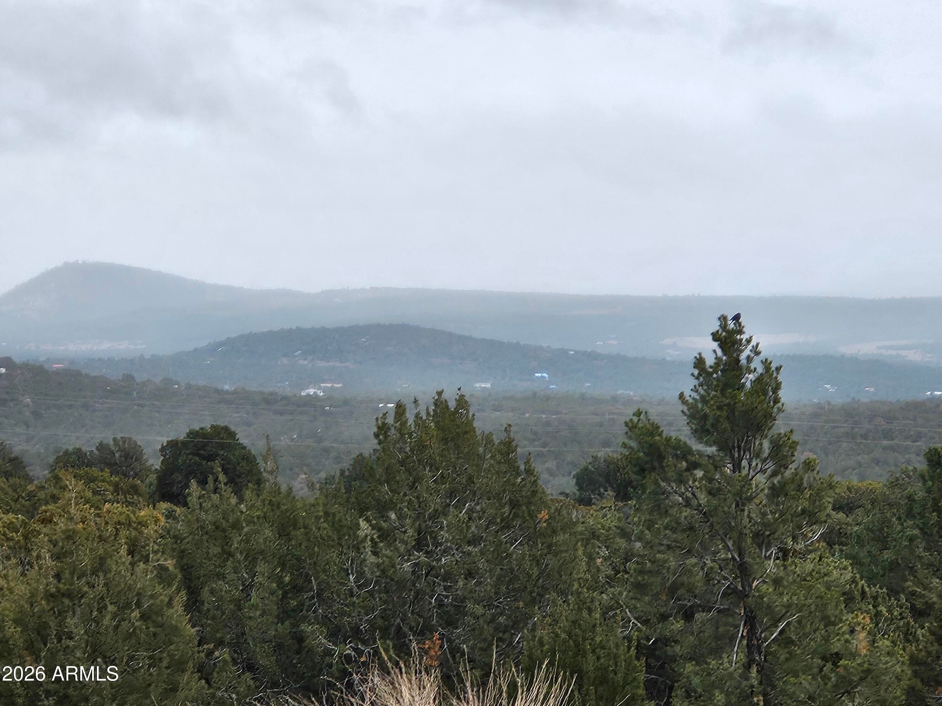 Lot 20 Mountain Pine Rd — photo 10