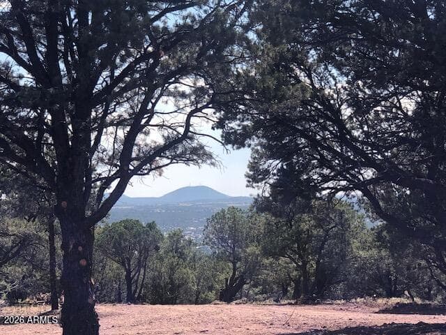 Lot 20 Mountain Pine Rd — photo 1