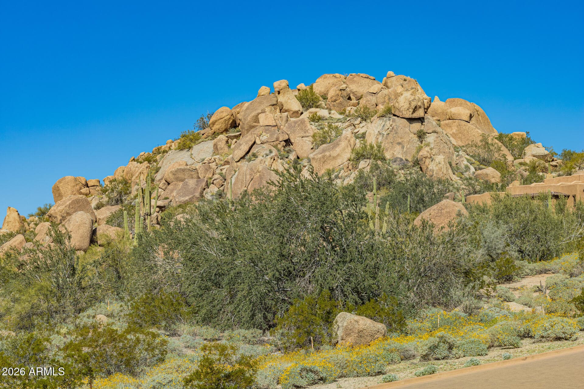 24655 N 109th Pl — photo 79