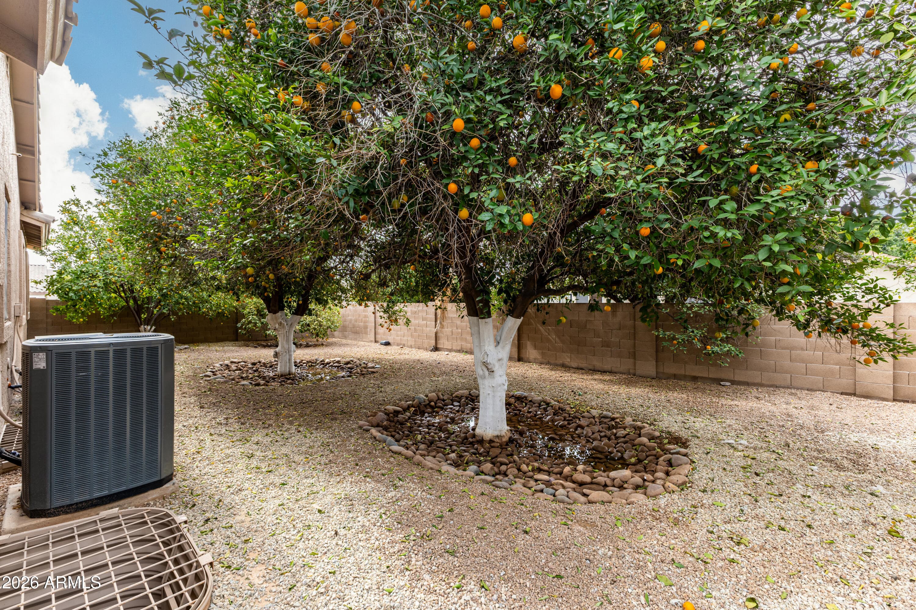 4556 E Downing St — photo 57