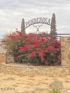 39125 N 25th Ave — photo 84