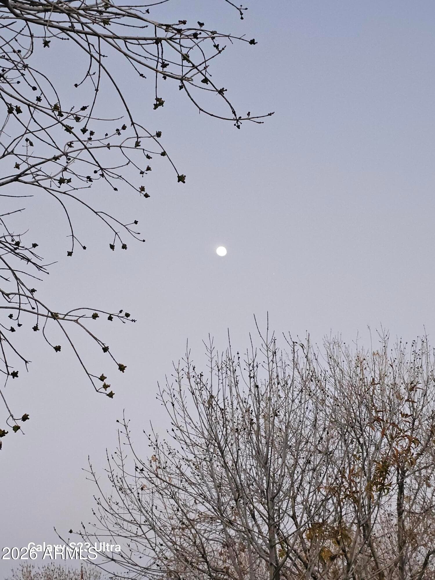 790 W Cherrywood Dr — photo 88