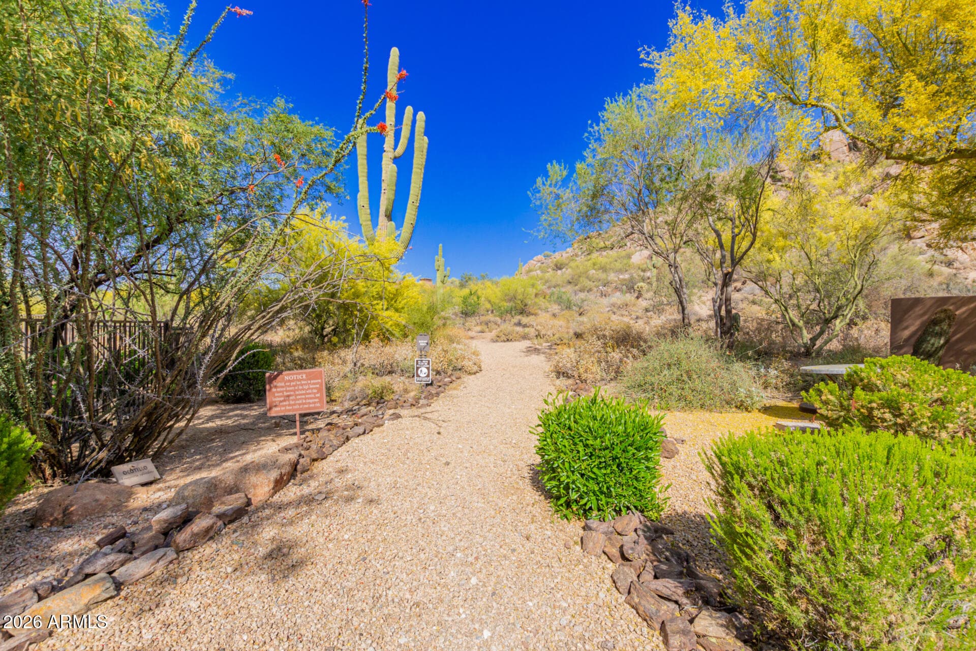 7763 E Evening Glow Dr — photo 65