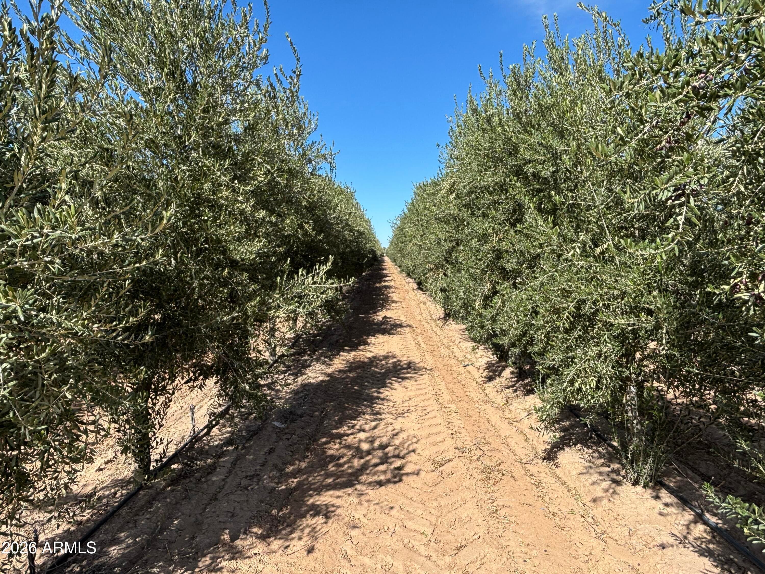 854 W Lowell Dr — photo 30