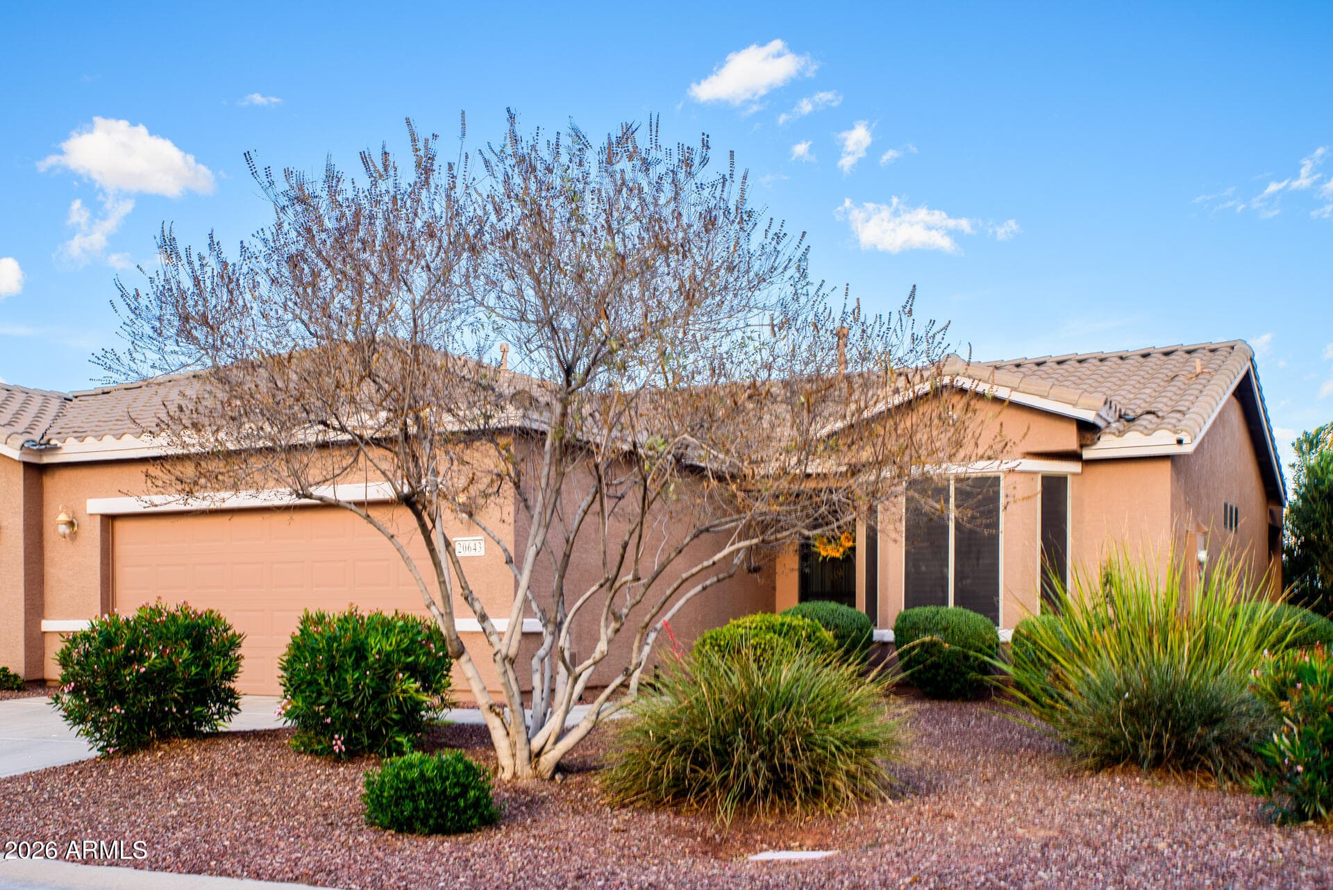20643 N Lemon Drop Dr — photo 1