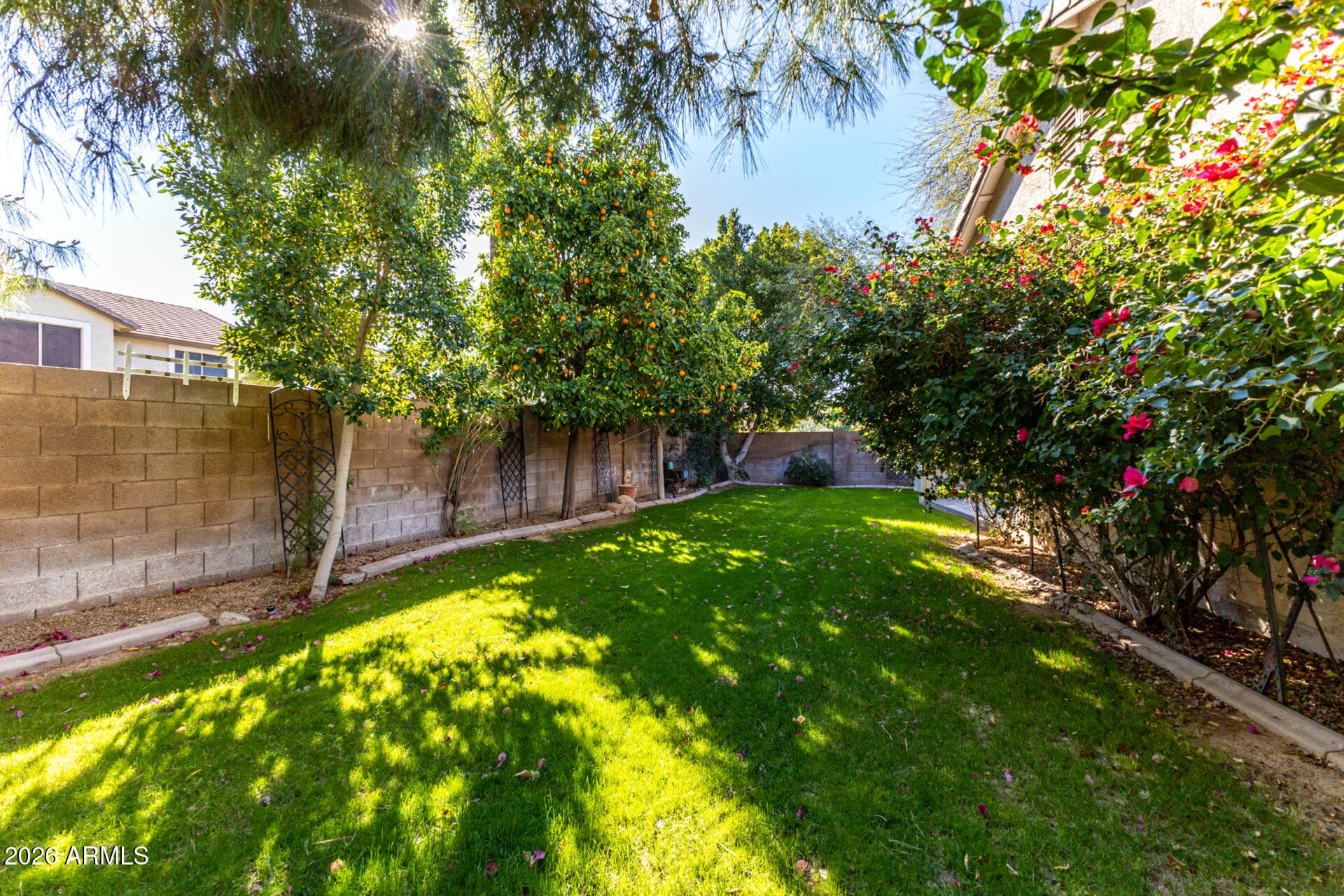 8975 W Clara Ln — photo 24