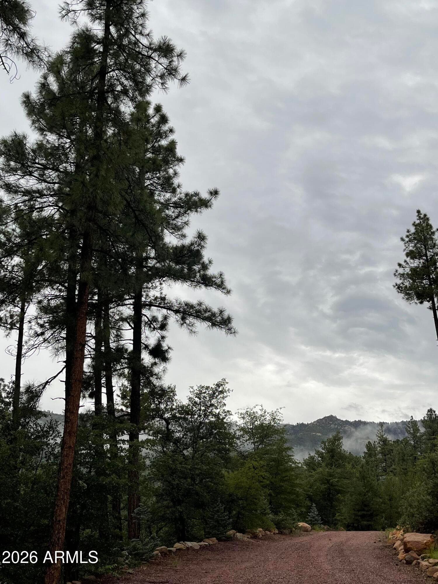 415 E Rim Estates Trail — photo 76