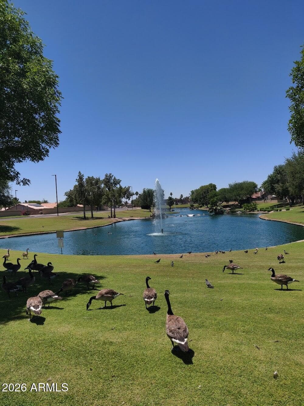 18221 N Skyhawk Dr — photo 31