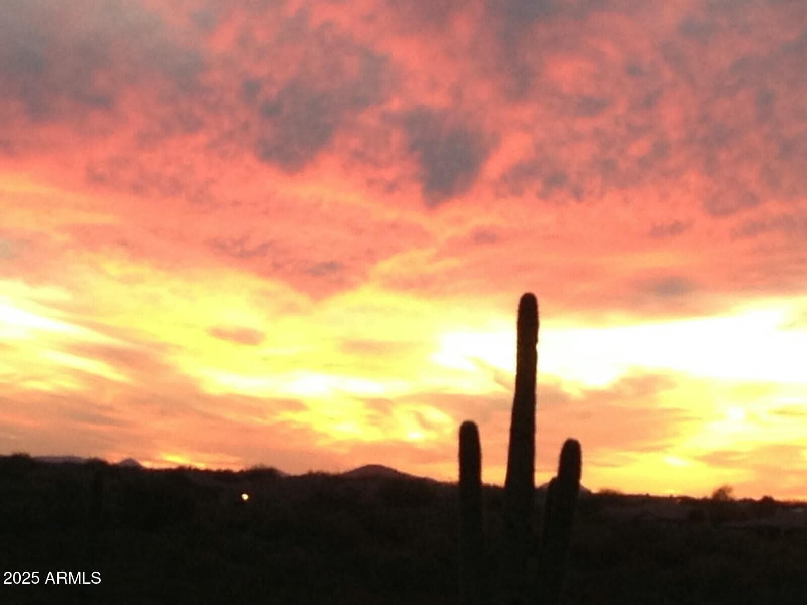 40627 N 6th Ave — photo 46