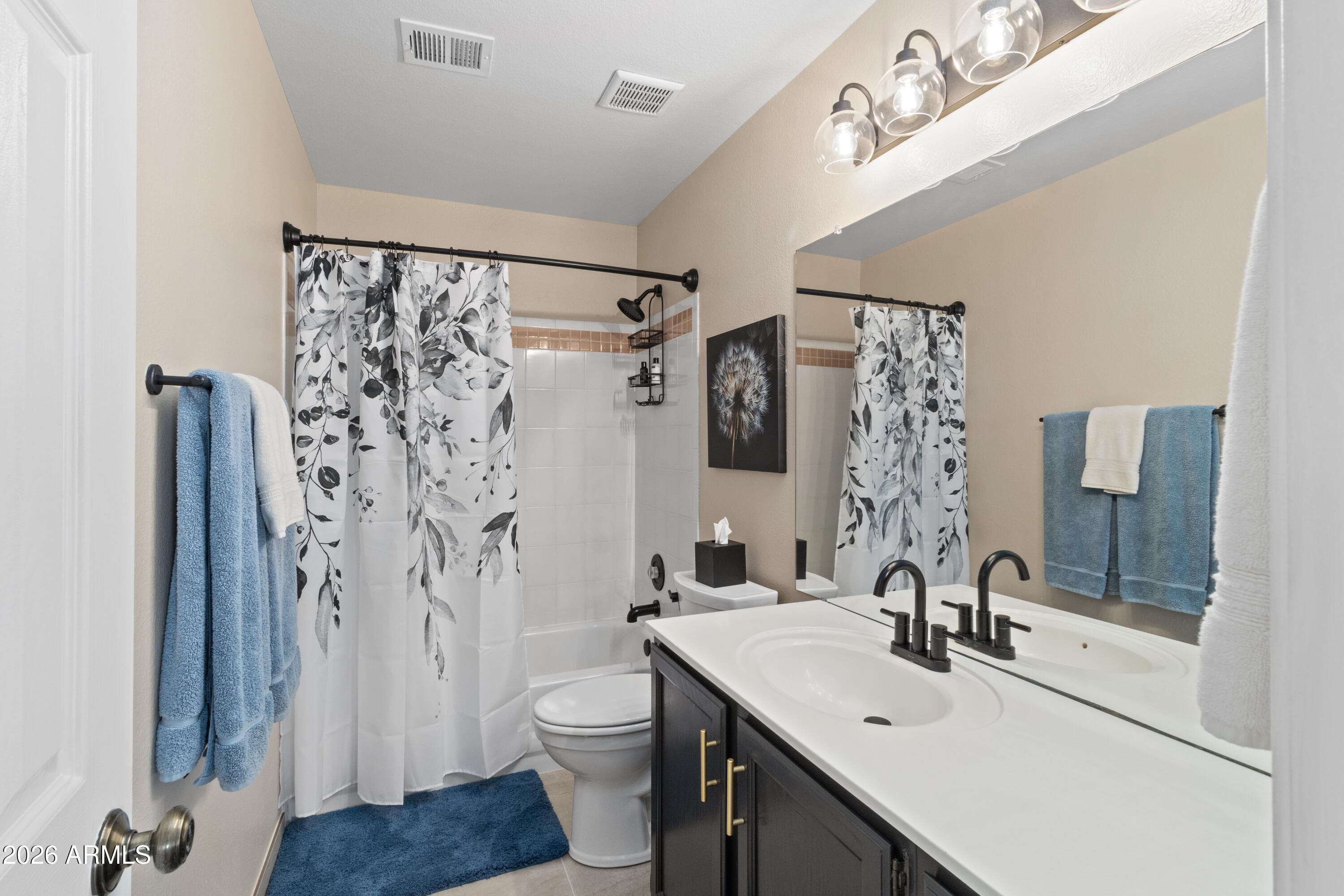 21513 N 65th Ave — photo 44