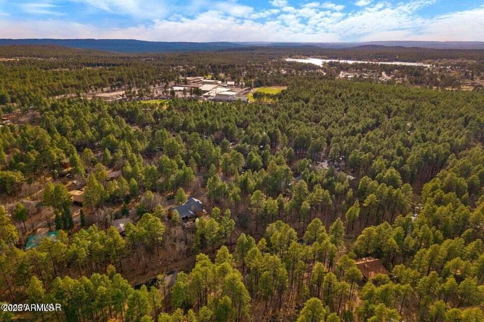 571 W PINE SHADOW DR - Photo 49