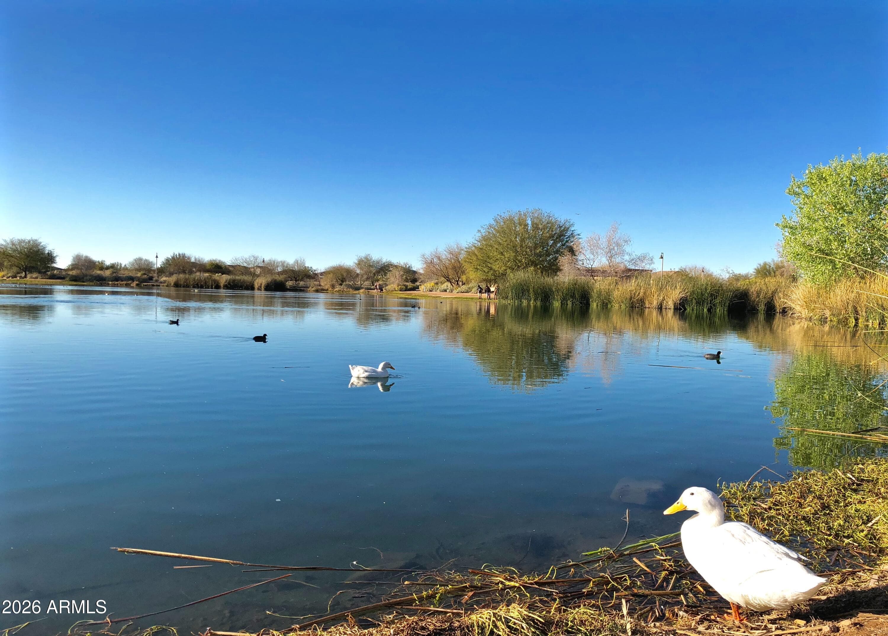 3994 E Grand Canyon Pl — photo 63