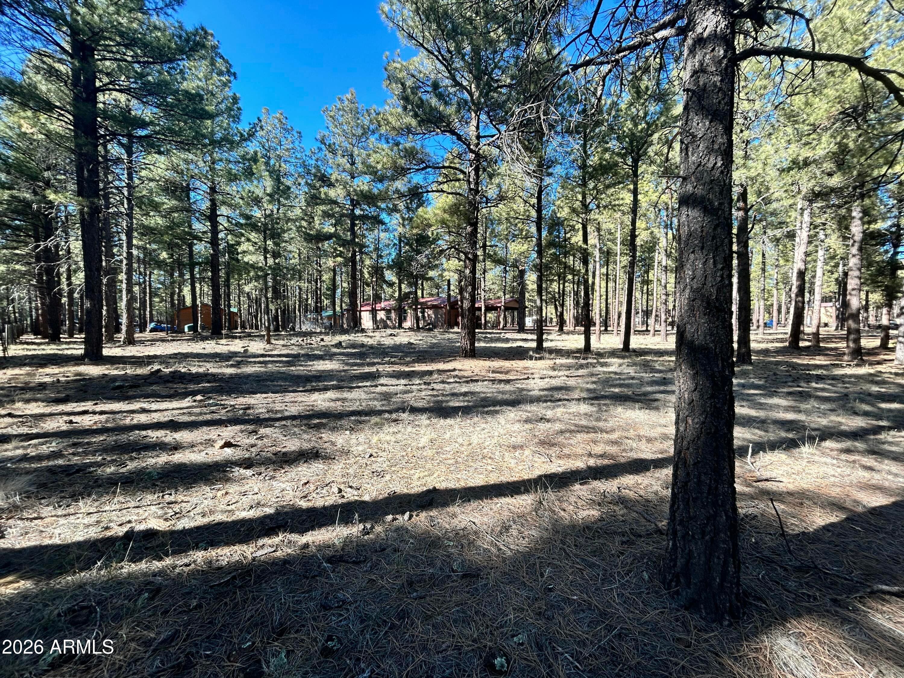 12808 E CROSSBOW RD - Photo 5