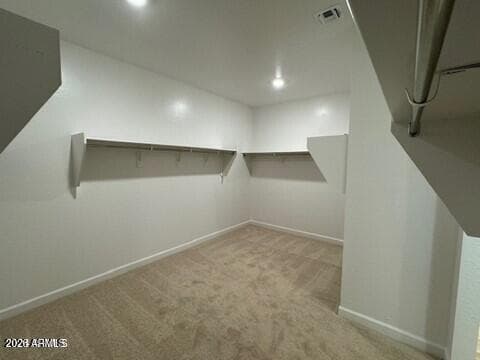 25534 N 154th Ln — photo 53