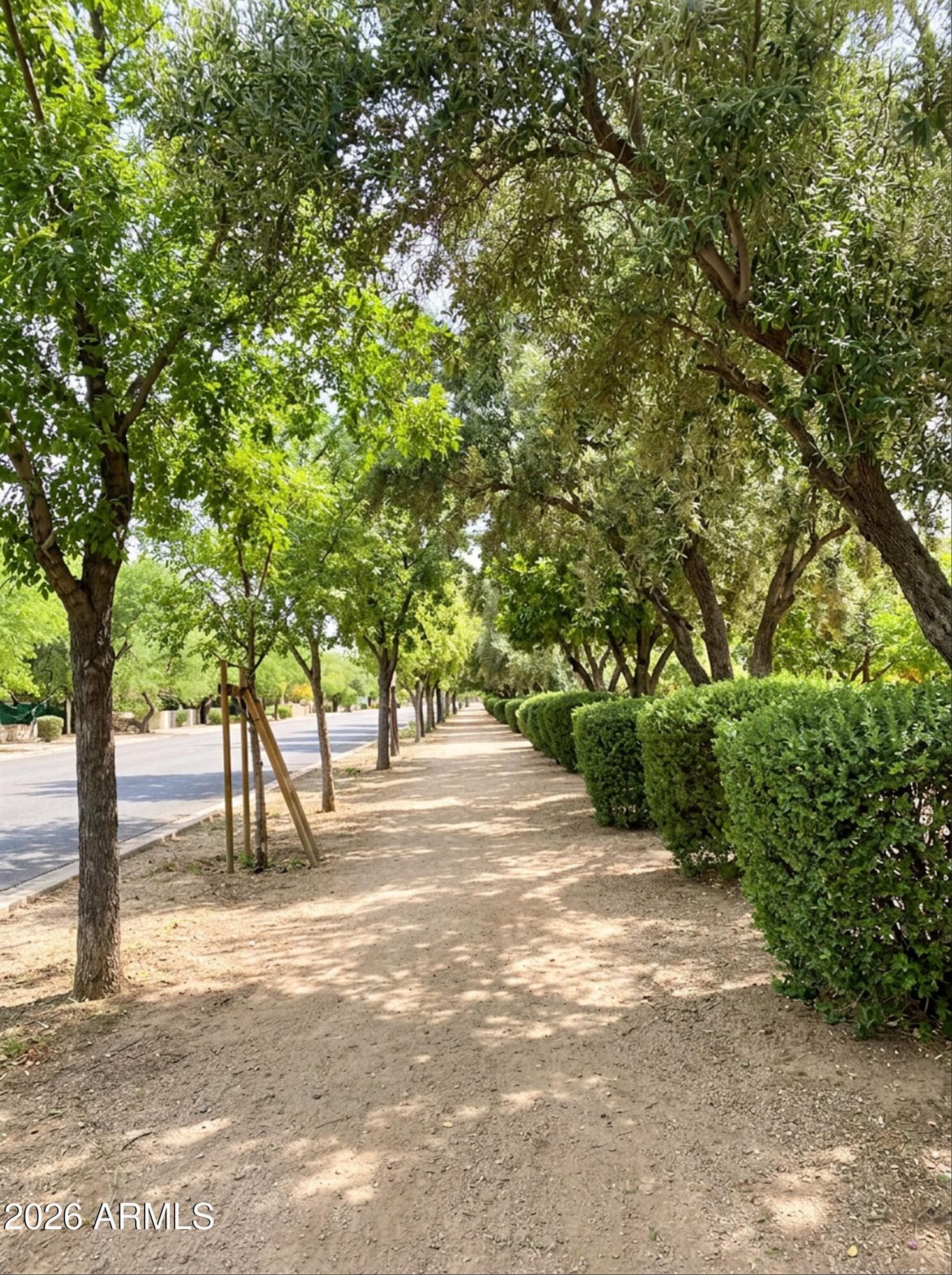 6853 N Central Ave — photo 46