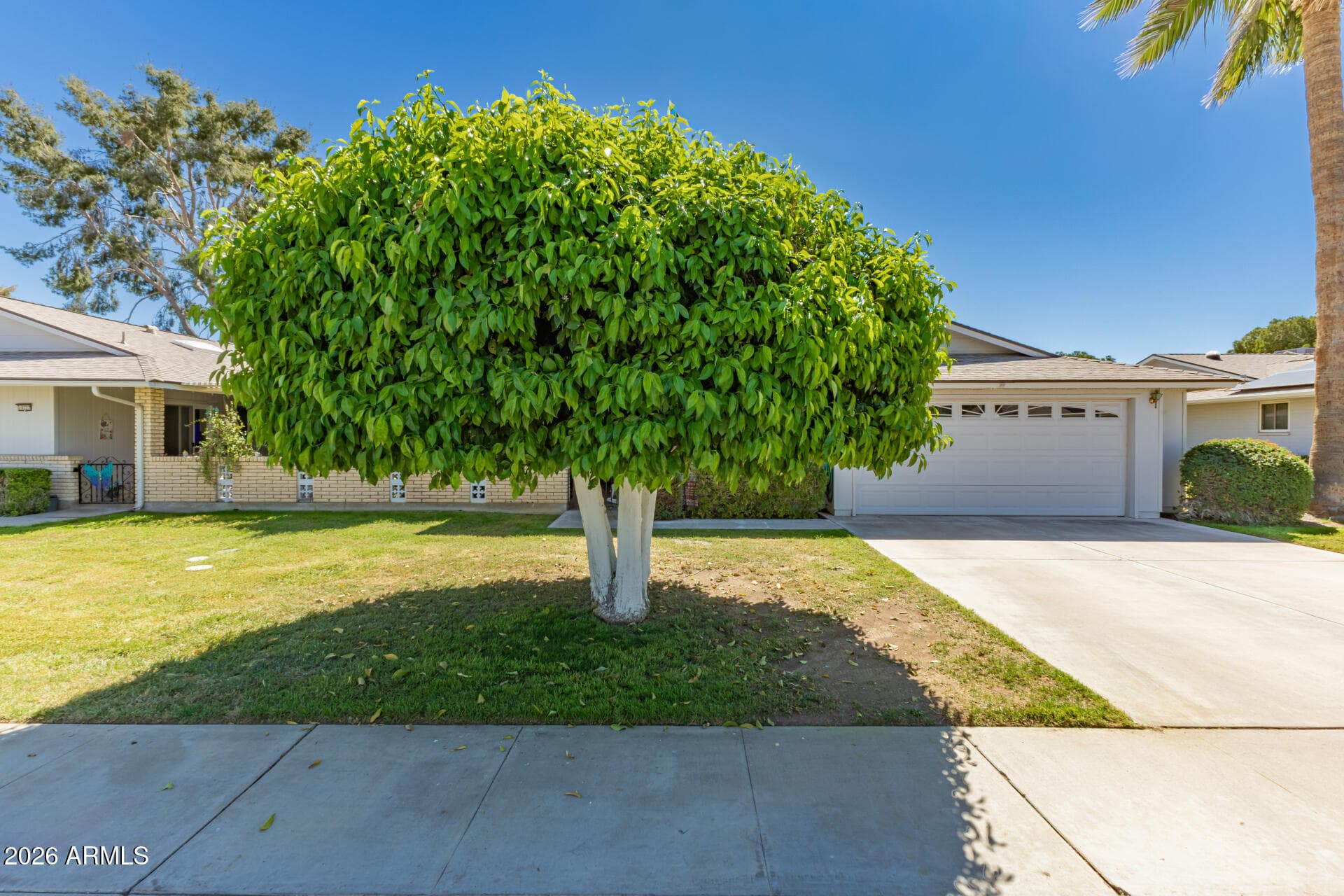10731 W Salem Dr — photo 1
