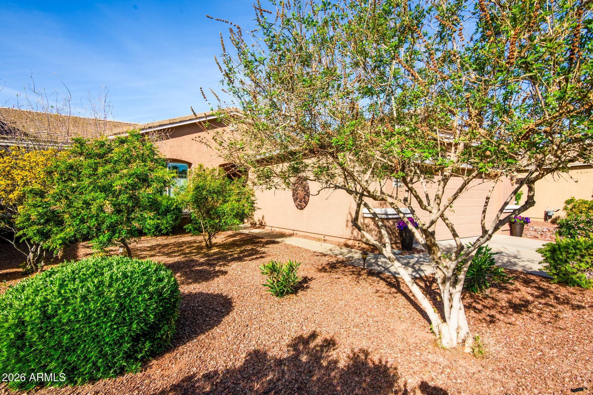 20598 N LEMON DROP DR - Photo 3