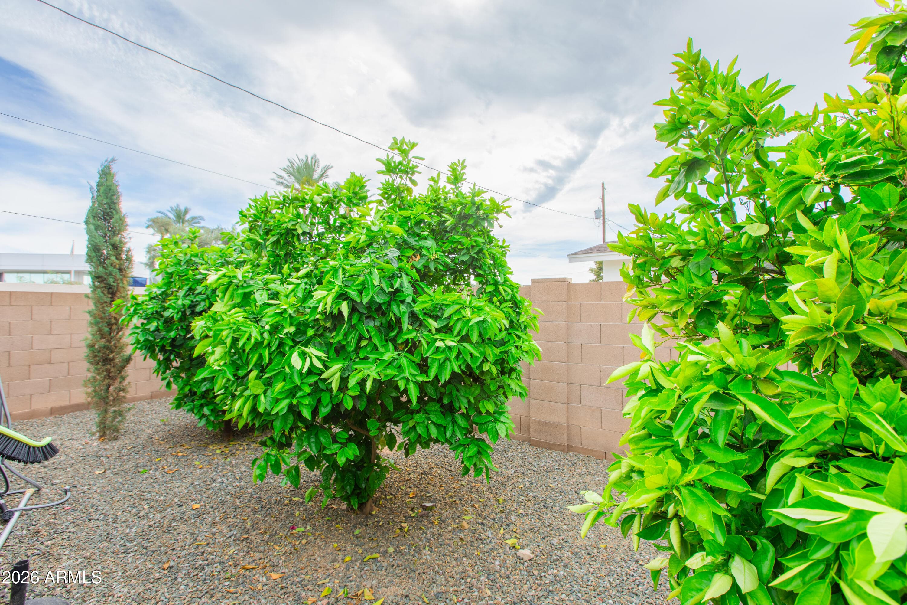 5541 E Cheery Lynn Rd — photo 69