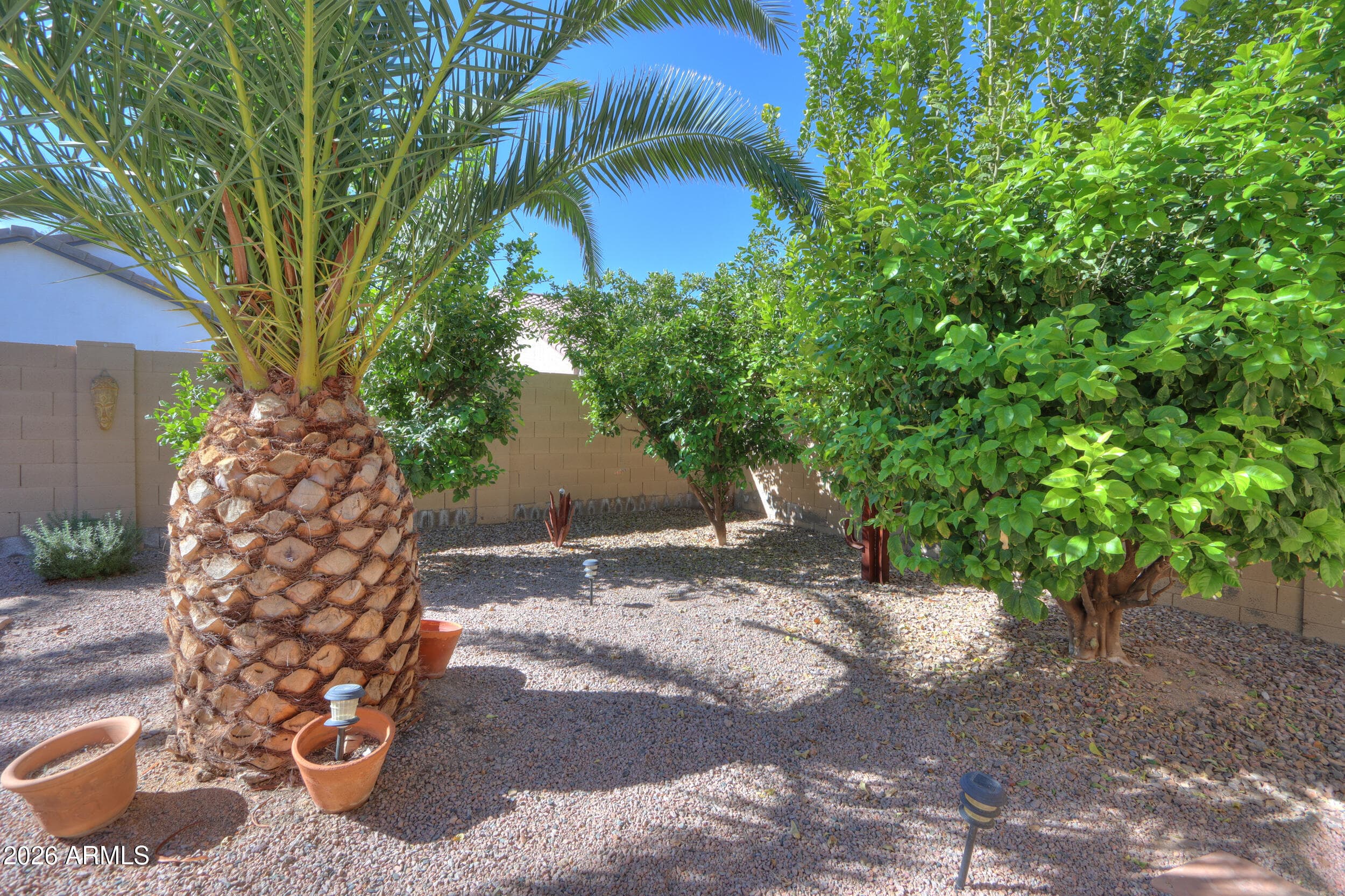 45085 W Mescal St — photo 36