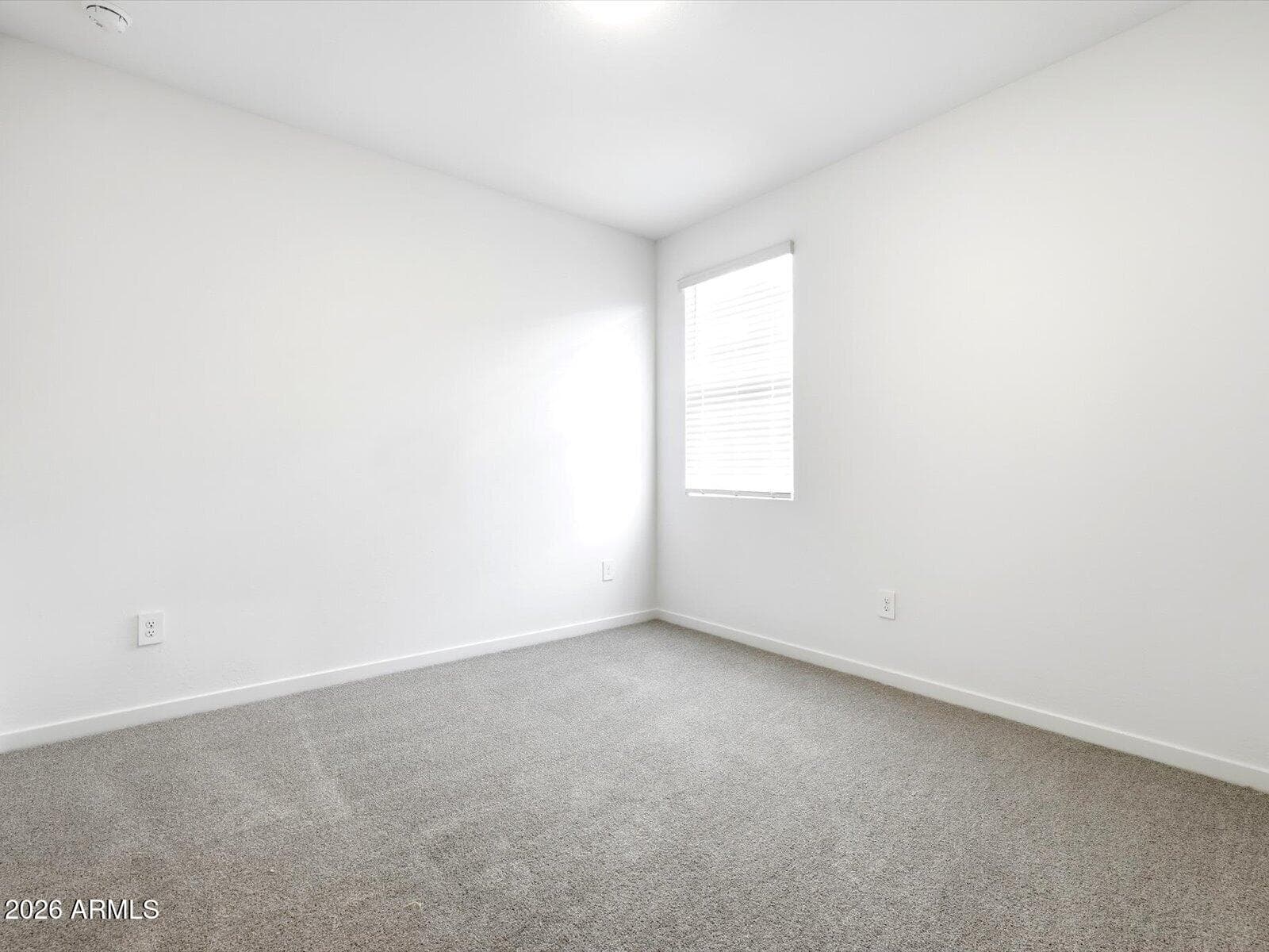 31308 N CATTAIL ST - Photo 4