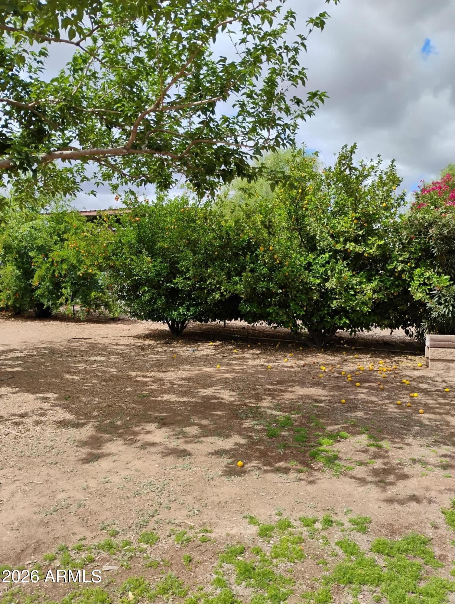 22744 E Carla Vista Dr — photo 51