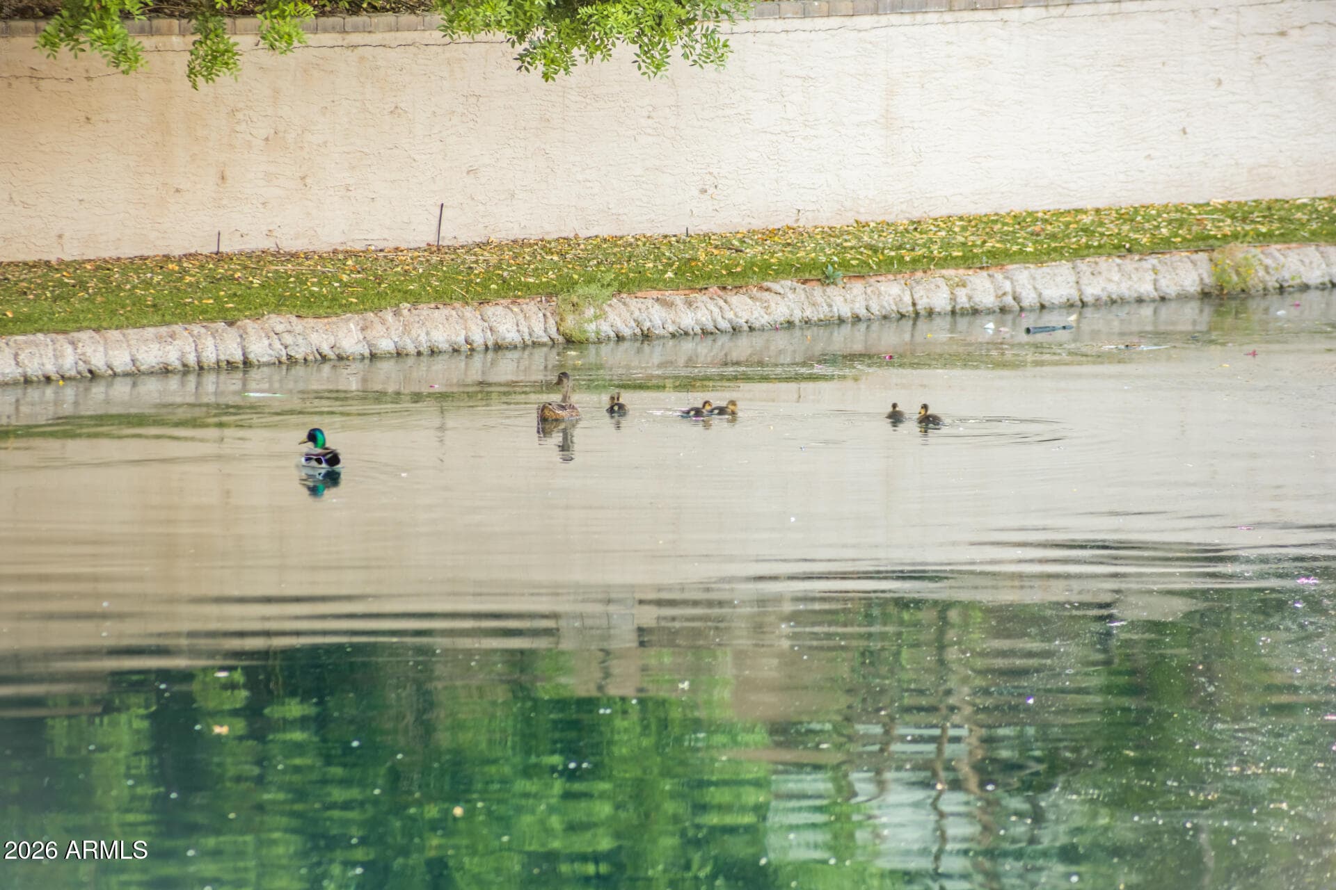 3201 S Horizon Pl — photo 59