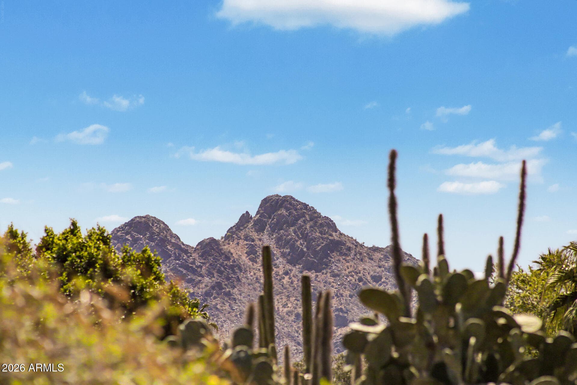 2601 E Dahlia Dr — photo 34