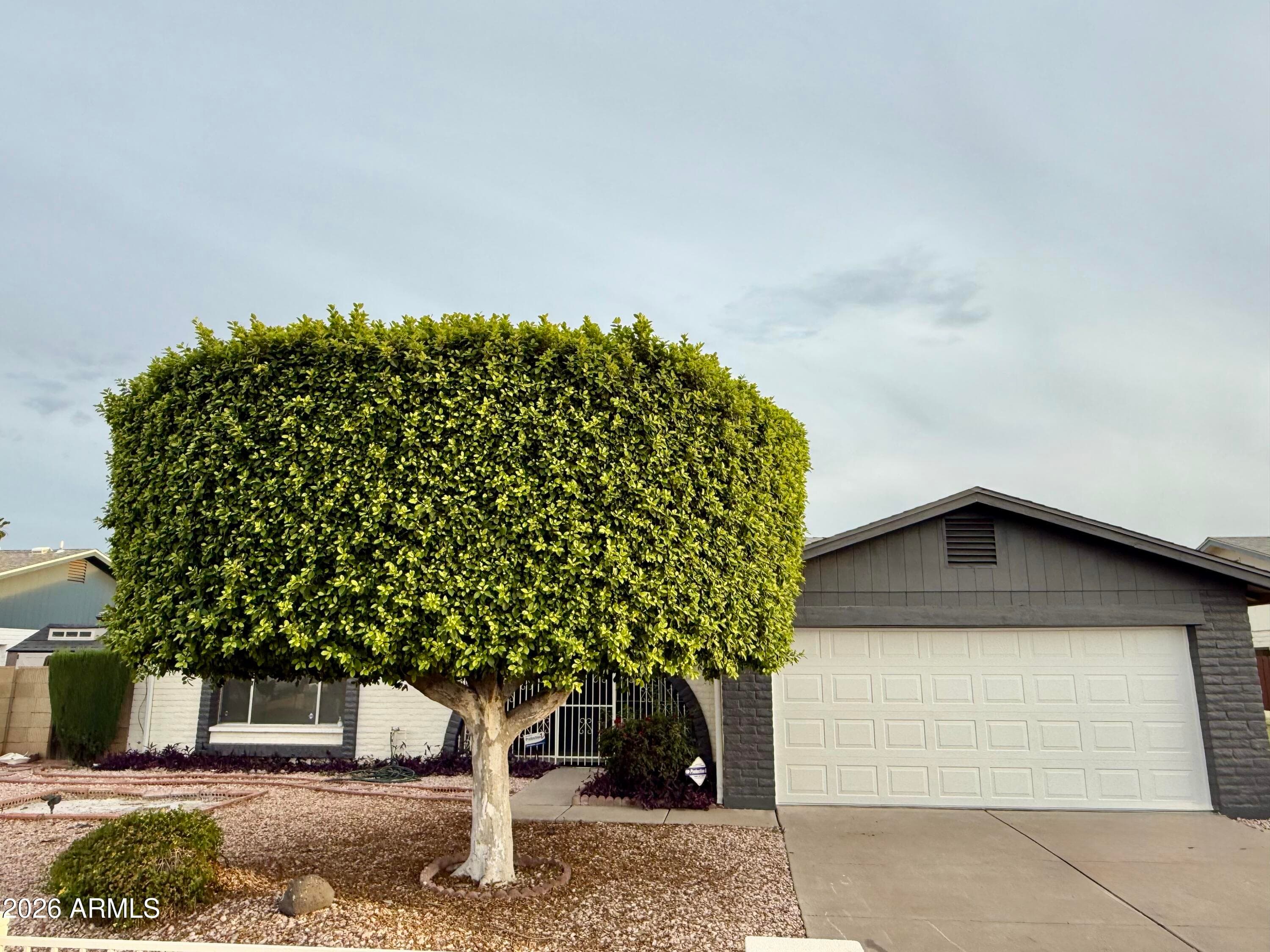 5817 W Tierra Buena Ln — photo 39