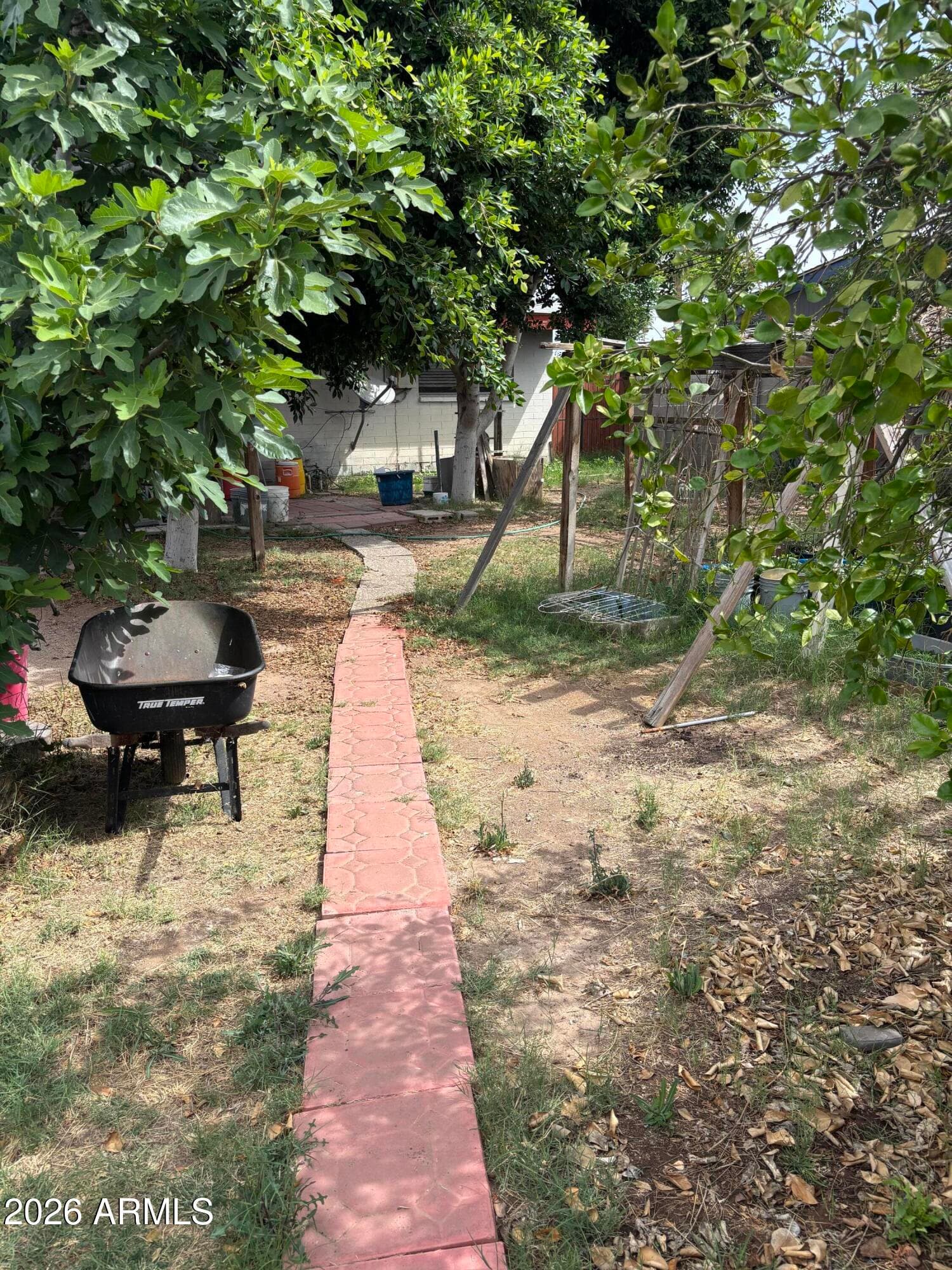 3619 W Alice Ave — photo 17