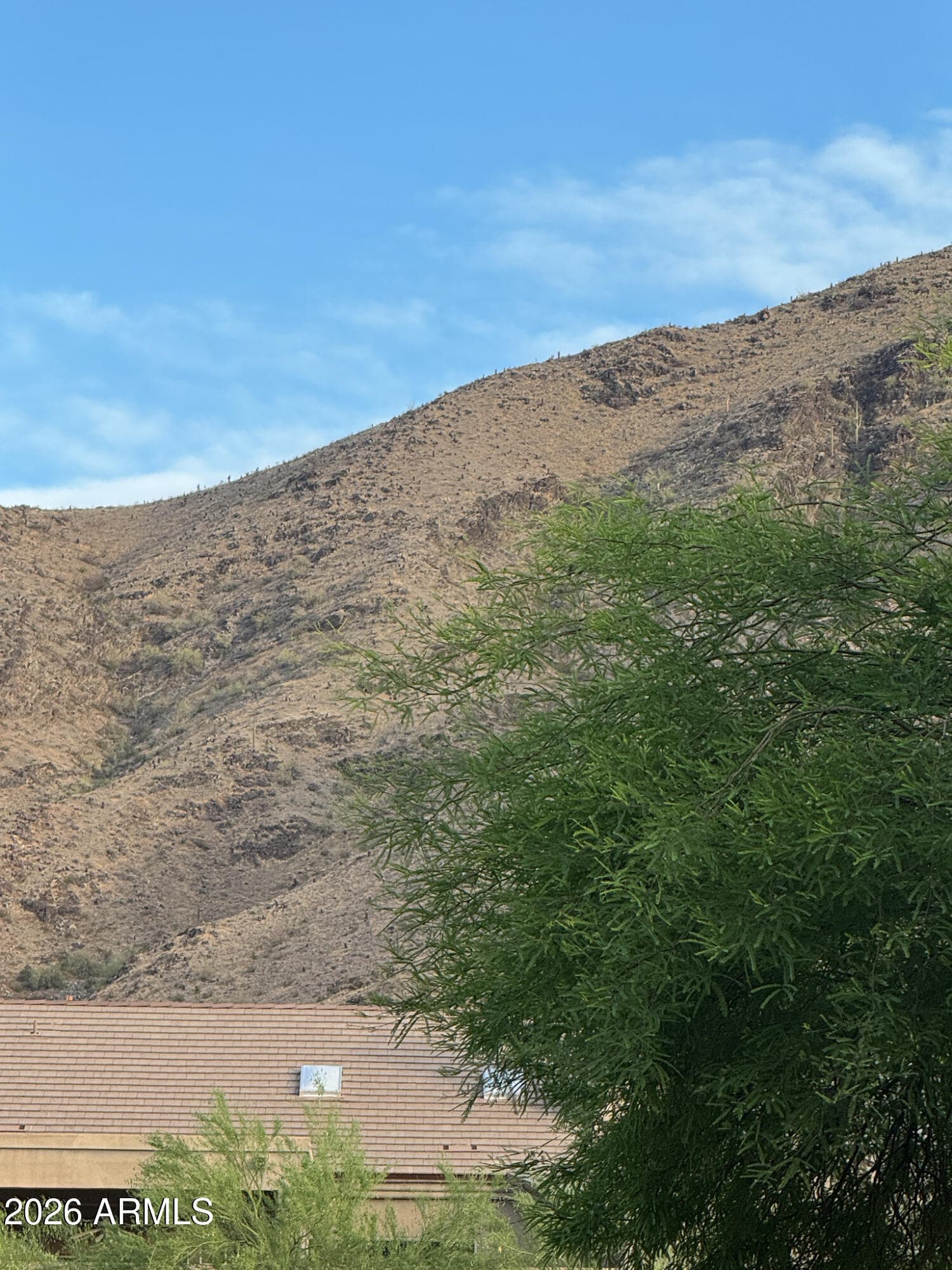 436 W Mountain Sage Dr — photo 26