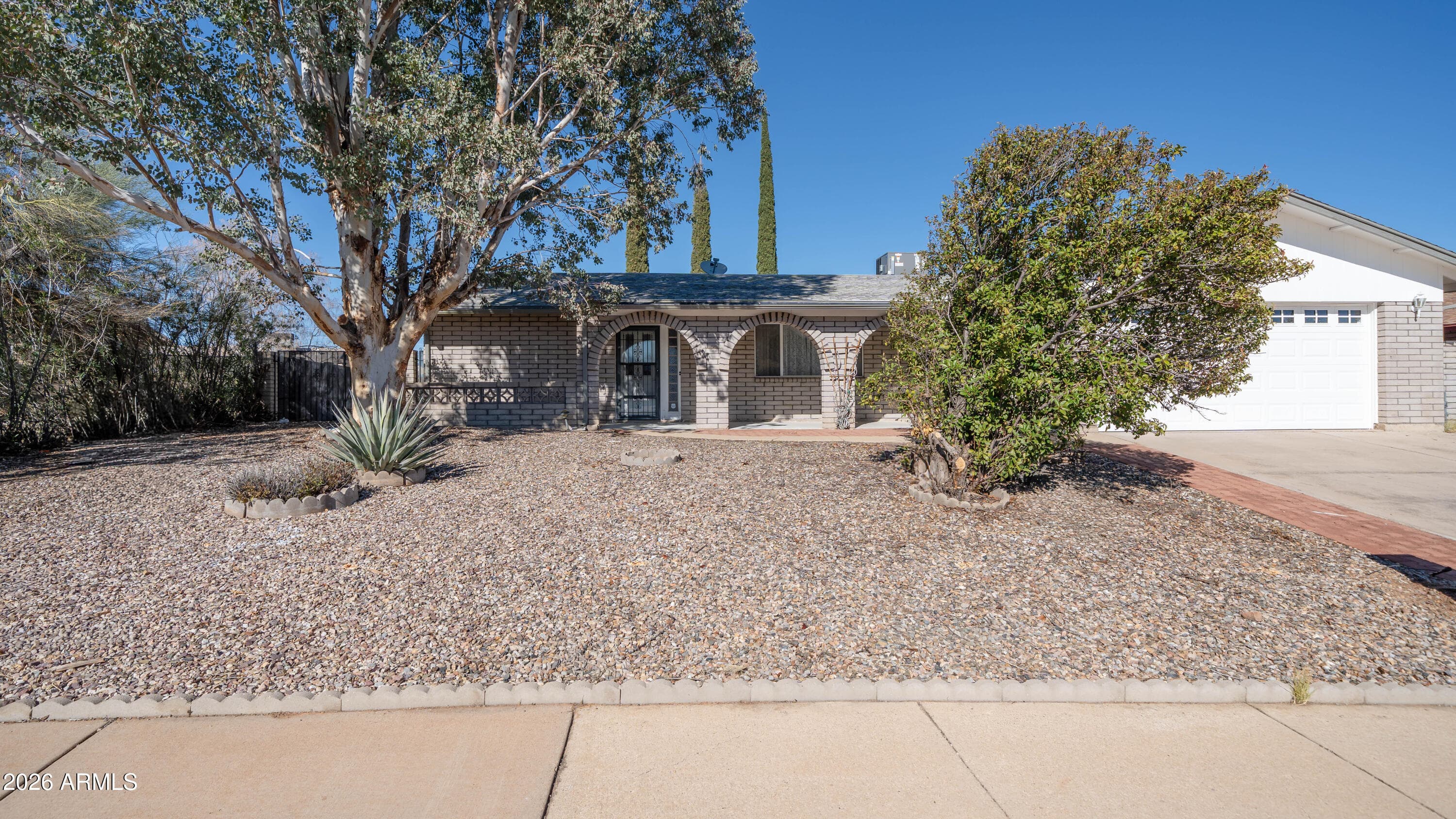 1349 CHOLLA CIRCLE - Photo 4