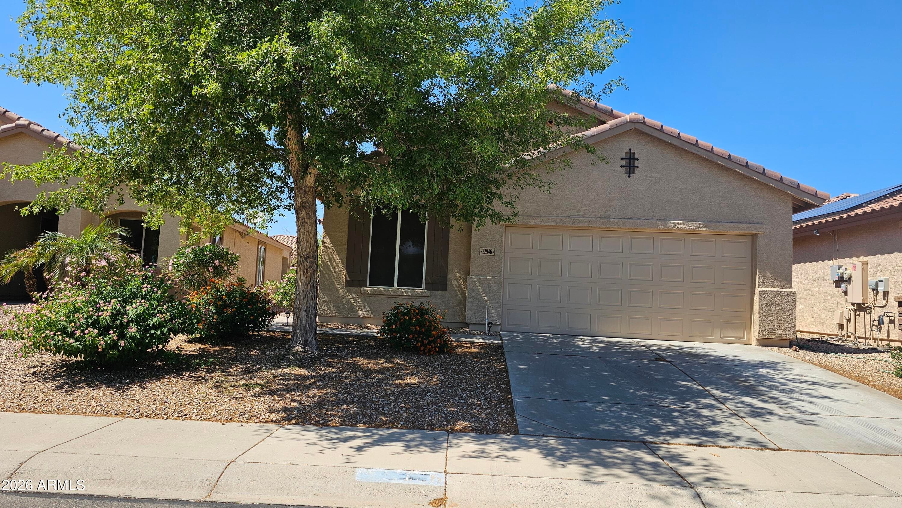 22946 W Desert Bloom St — photo 12
