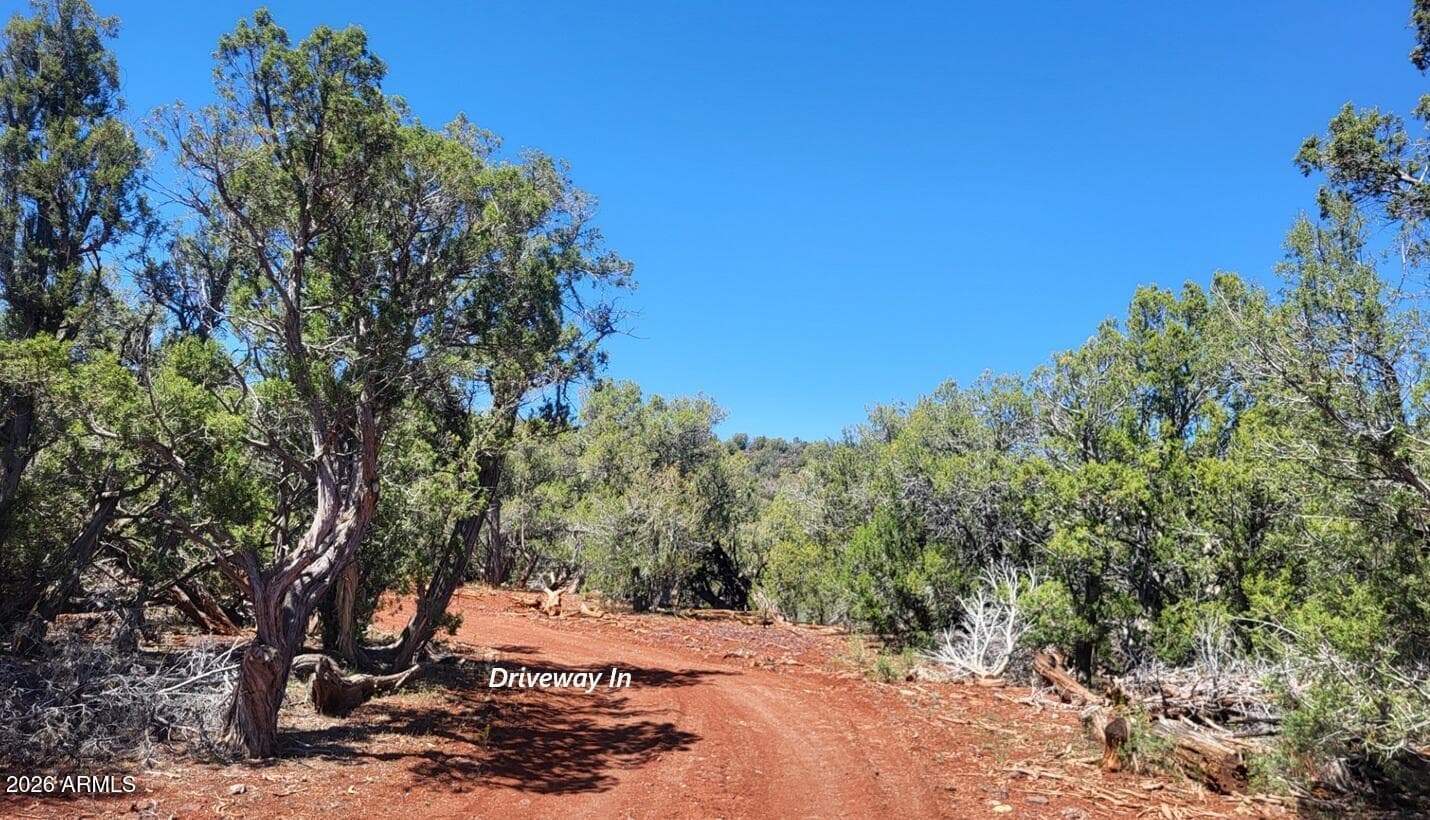 11044 Six Shooter Trail 202 — photo 2